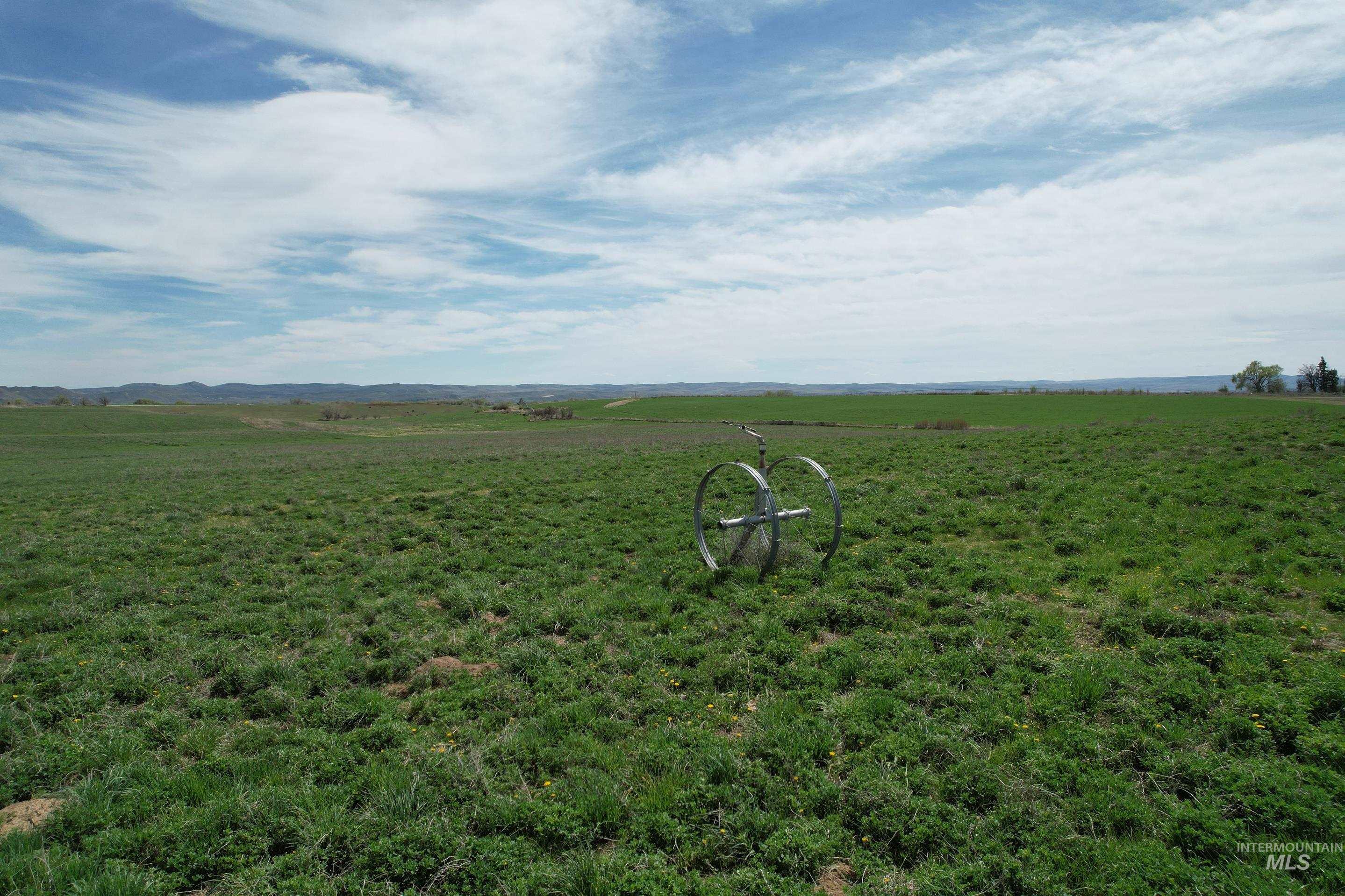 0 Greenfield Road, Vale, Oregon 97918, Farm & Ranch For Sale, Price $972,000, 98981647