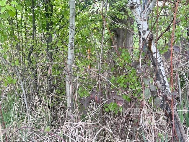 27xx E Main St, Emmett, Idaho 83617, Land For Sale, Price $245,000,MLS 98981753
