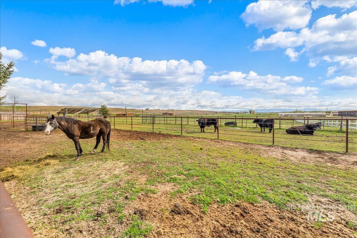 25940 Lansing Ln, Middleton, Idaho 83644, 4 Bedrooms, 3 Bathrooms, Residential For Sale, Price $1,250,000,MLS 98981768