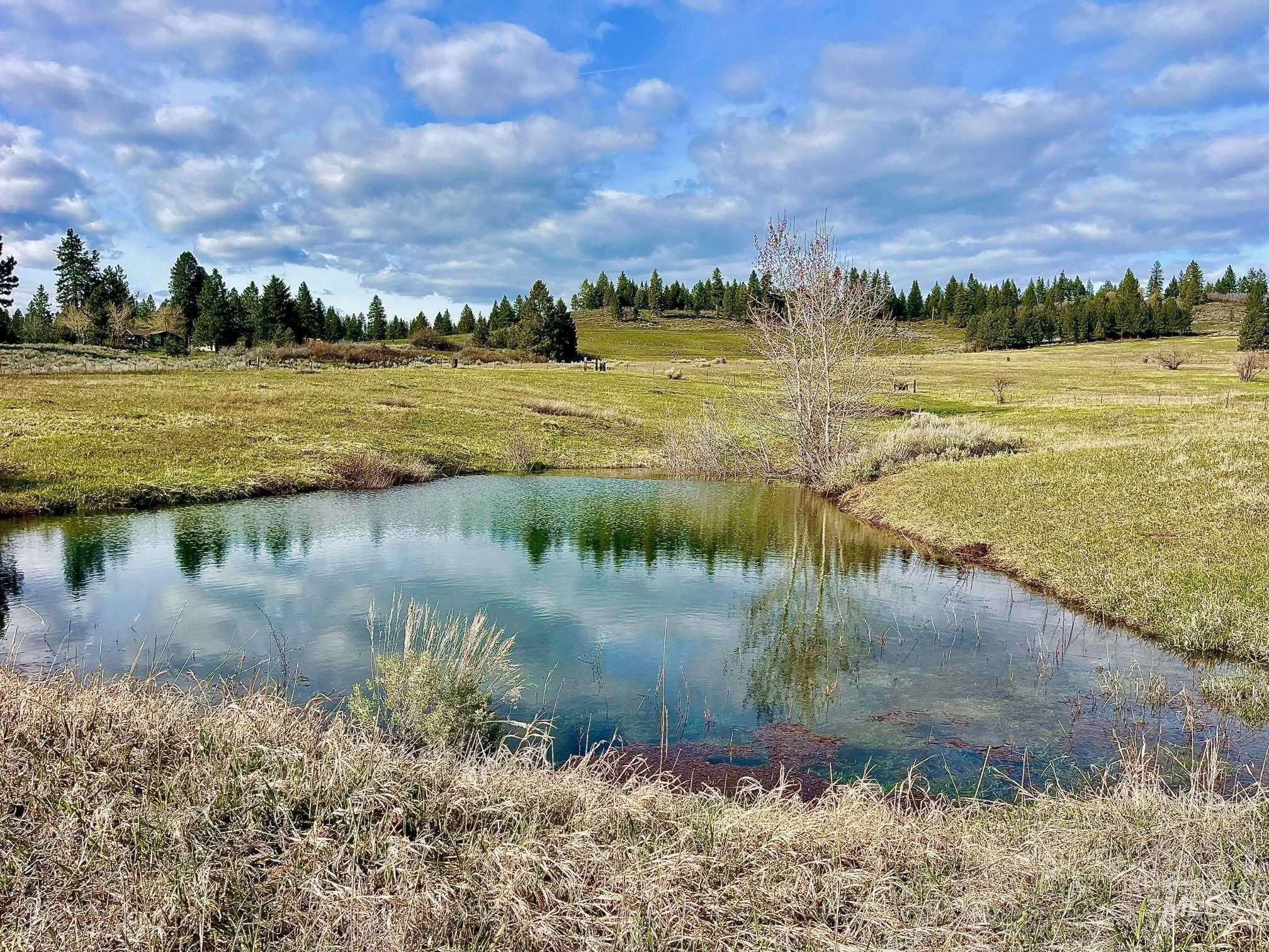 2609 Highway 95, Council, Idaho 83612, 4 Bedrooms, 2 Bathrooms, Residential For Sale, Price $749,000,MLS 98981801