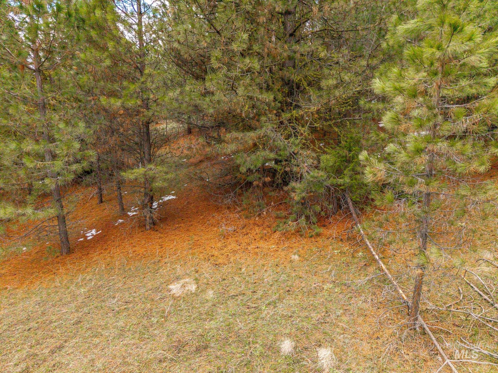 TBD Lot 27 Price Loop, Cascade, Idaho 83611, Land For Sale, Price $179,000,MLS 98981836
