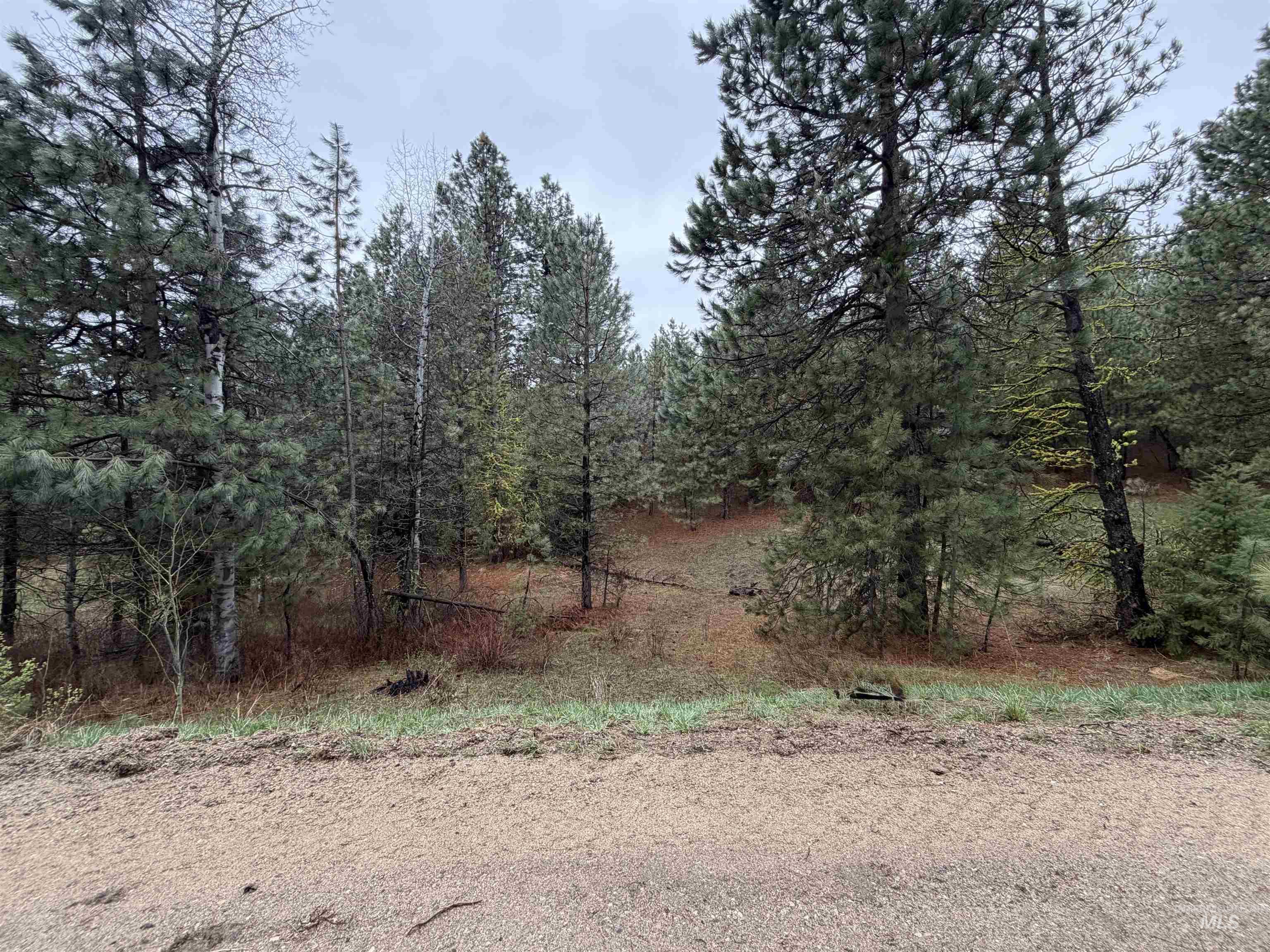 TBD Lot 27 Price Loop, Cascade, Idaho 83611, Land For Sale, Price $179,000,MLS 98981836