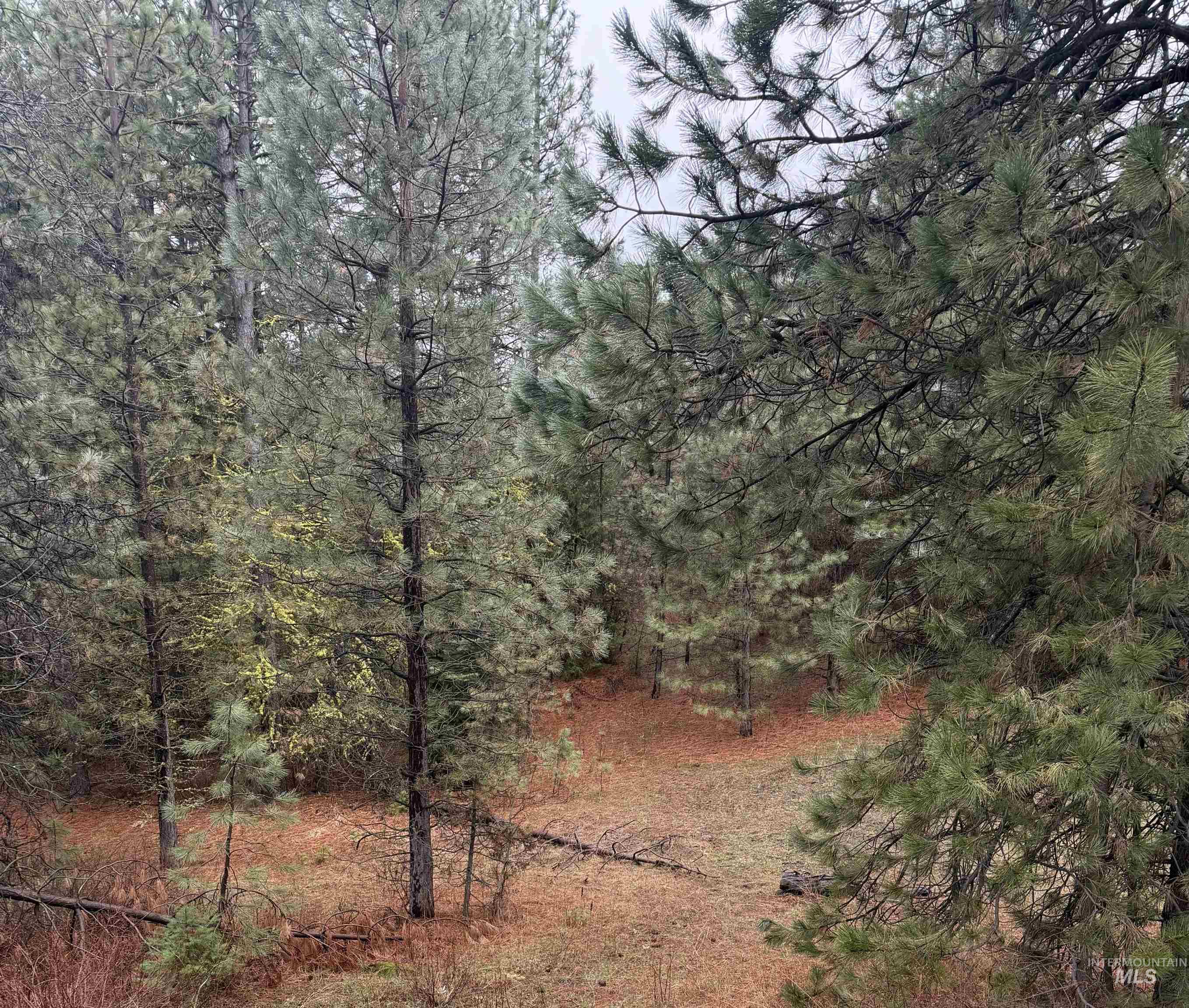 TBD Lot 27 Price Loop, Cascade, Idaho 83611, Land For Sale, Price $179,000,MLS 98981836