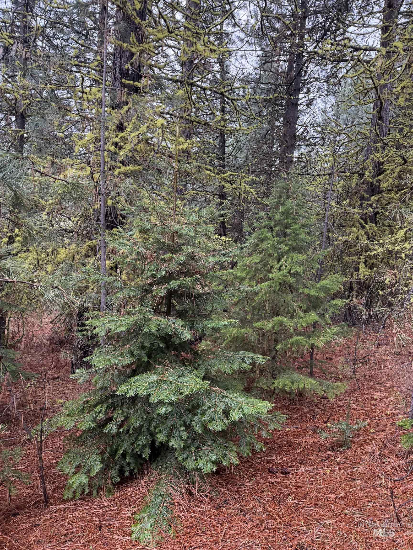 TBD Lot 27 Price Loop, Cascade, Idaho 83611, Land For Sale, Price $179,000,MLS 98981836