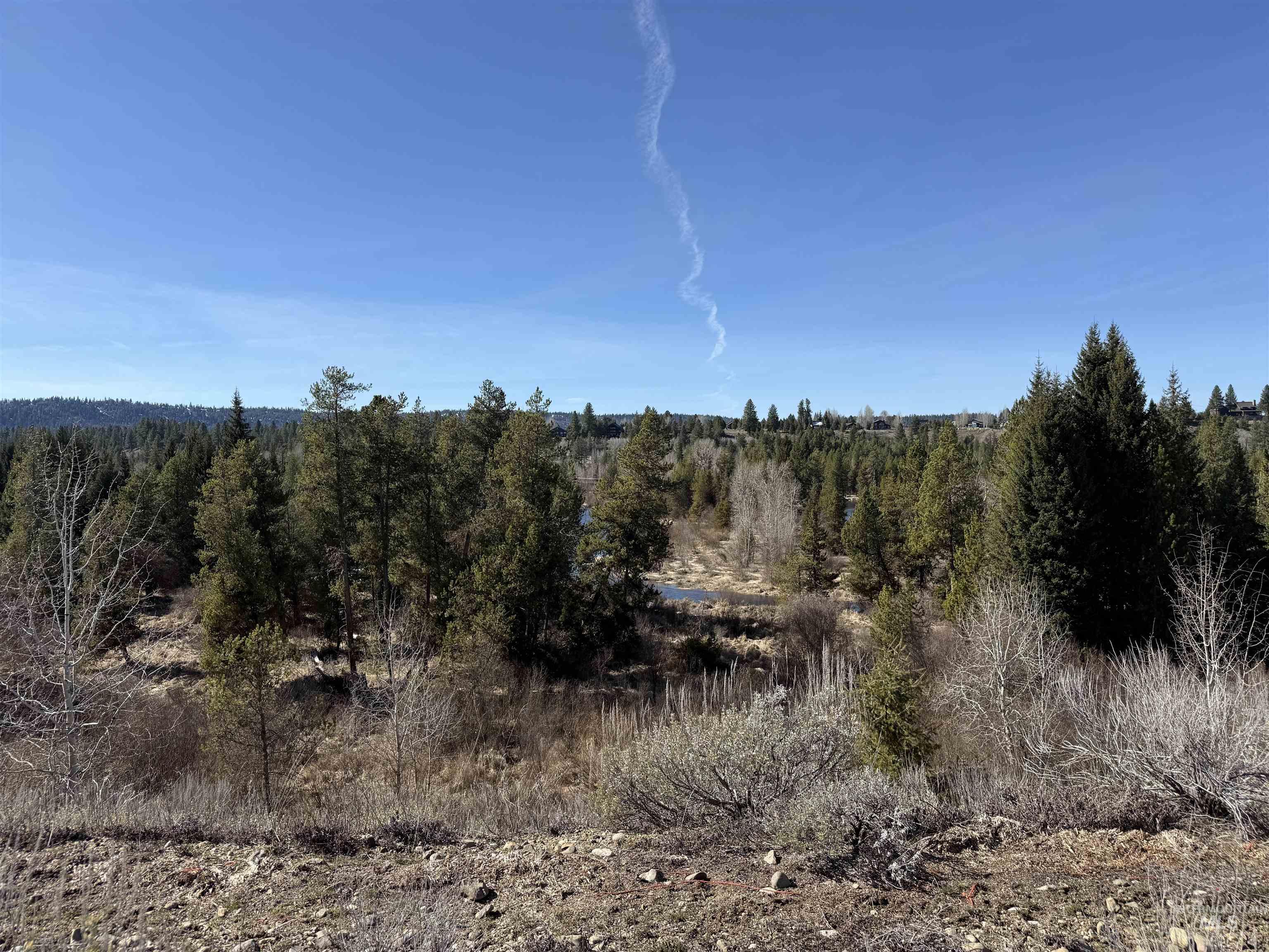 TBD Lot 17 Rawhide Loop, McCall, Idaho 83638-1111, Land For Sale, Price $995,000, 98981935