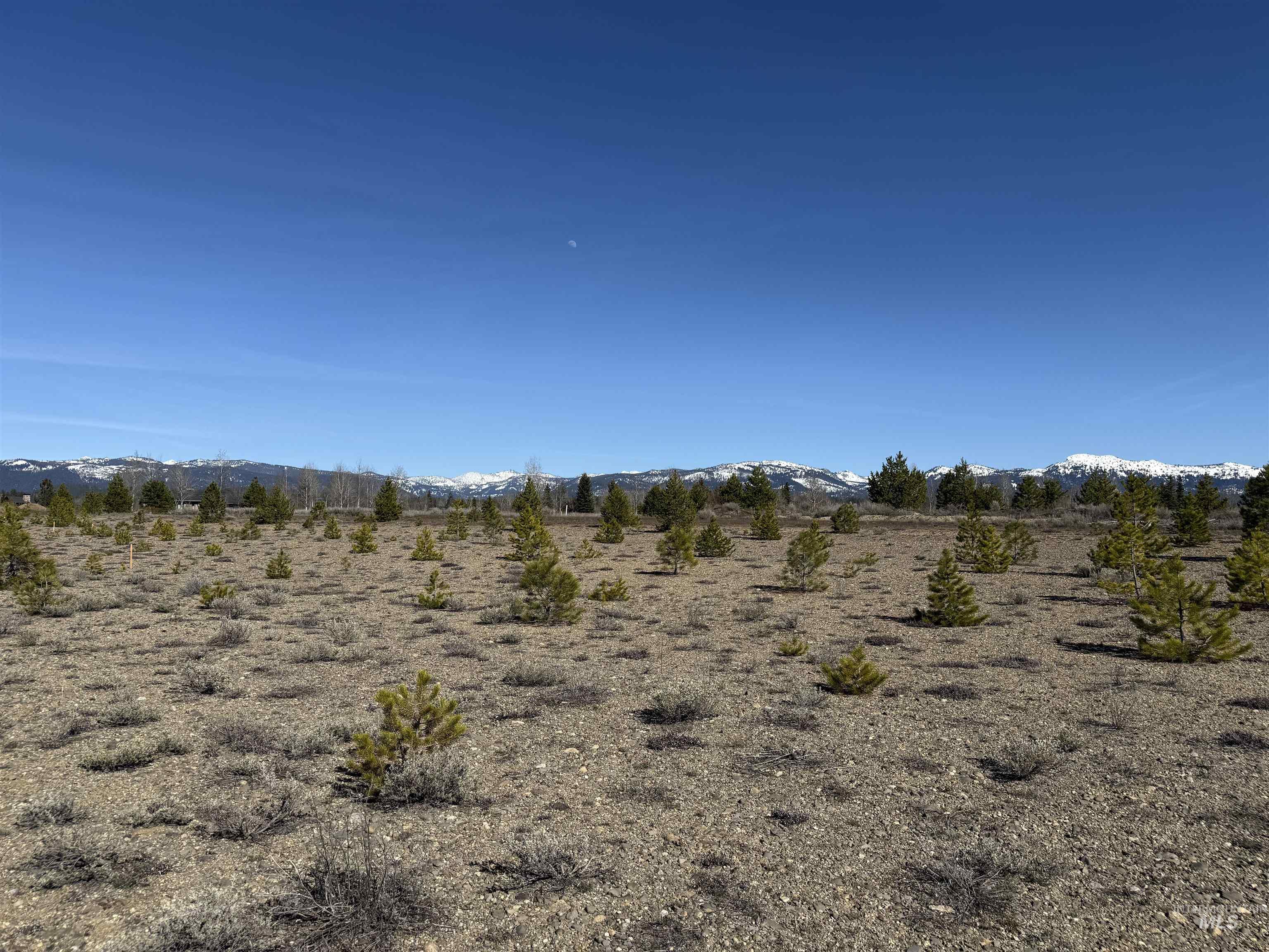 TBD Lot 17 Rawhide Loop, McCall, Idaho 83638-1111, Land For Sale, Price $995,000, 98981935