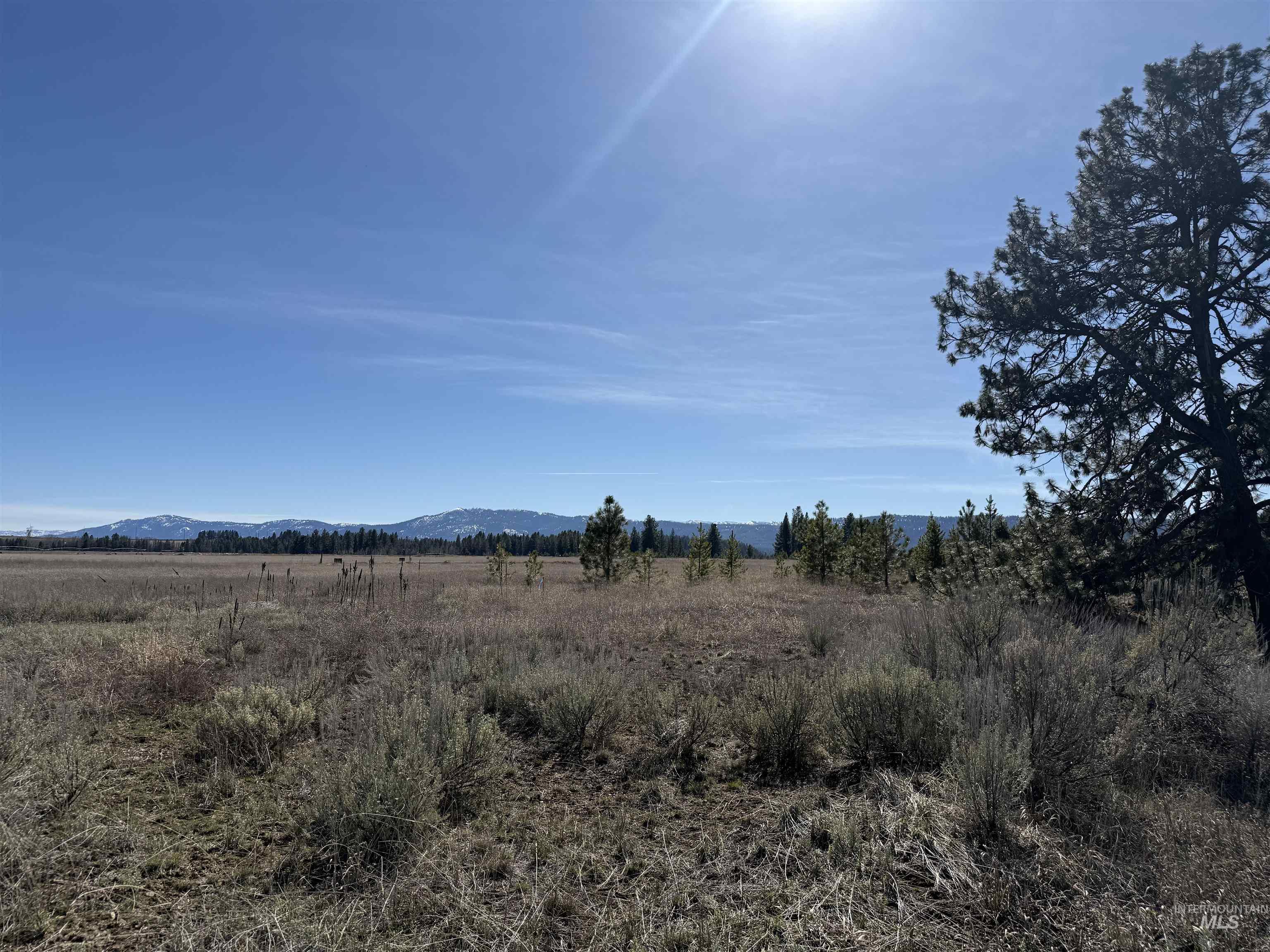 TBD Lot 17 Rawhide Loop, McCall, Idaho 83638-1111, Land For Sale, Price $995,000, 98981935