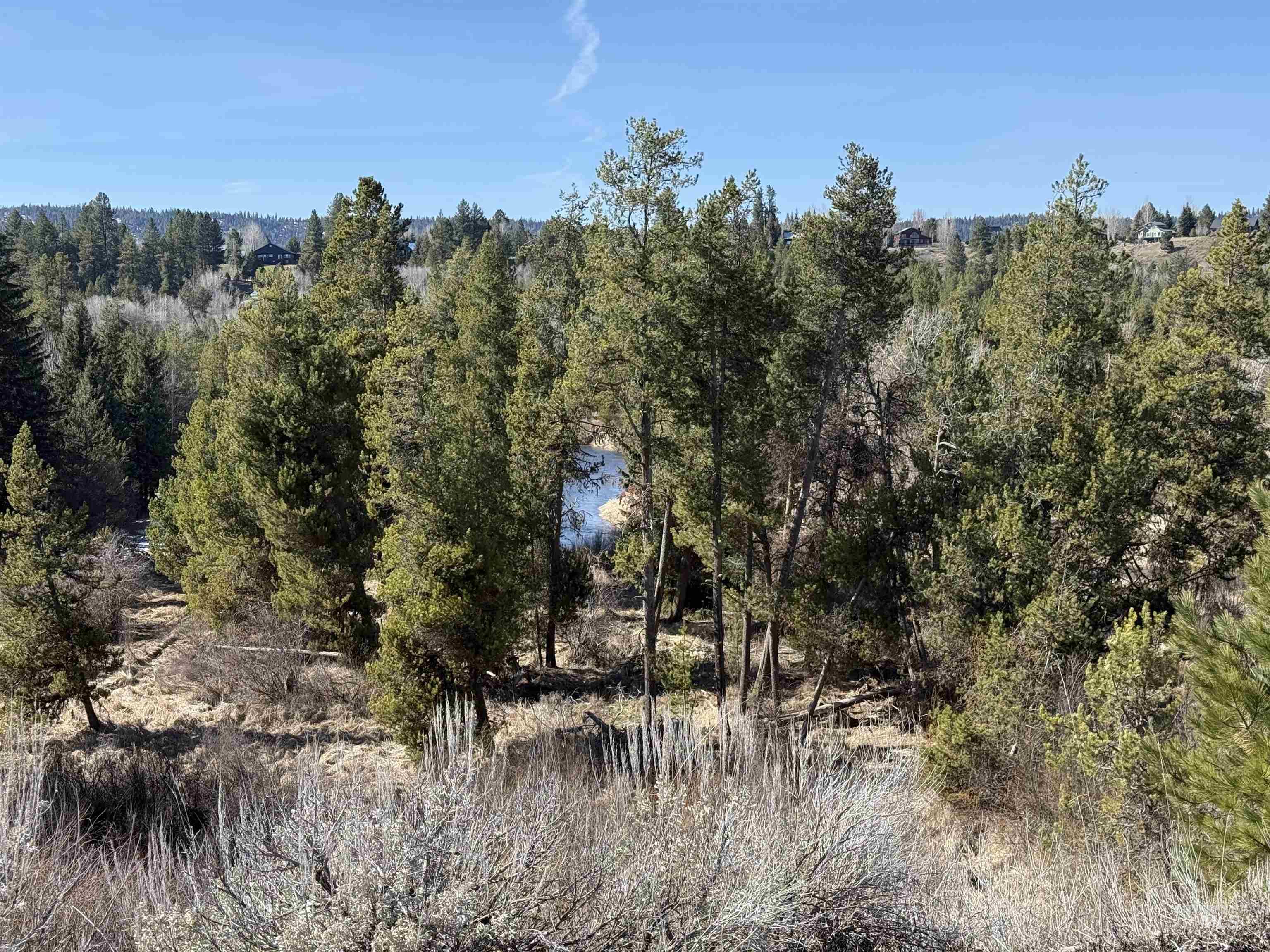 TBD Lot 17 Rawhide Loop, McCall, Idaho 83638-1111, Land For Sale, Price $995,000, 98981935