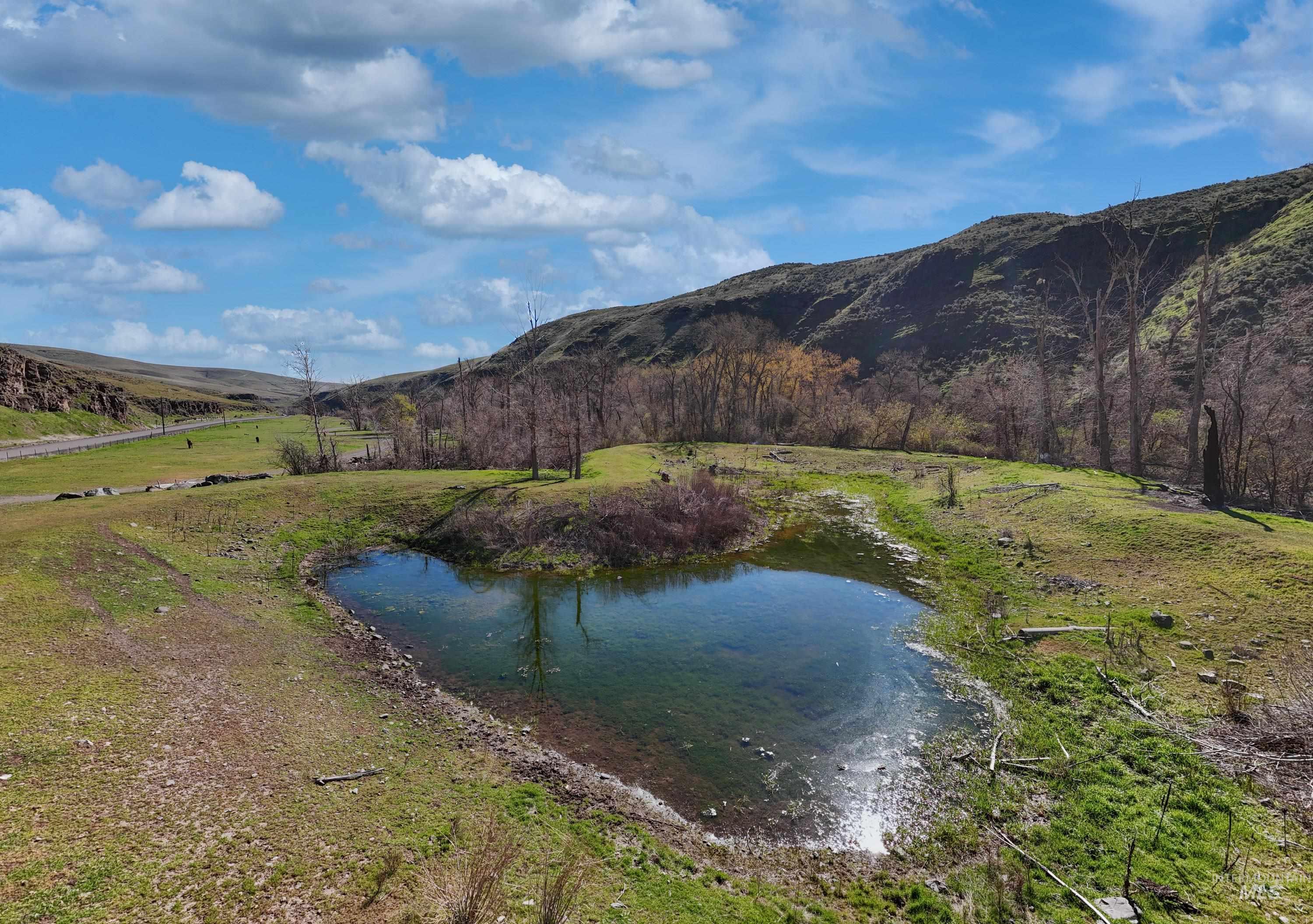13761 Asotin Creek Road, Asotin, Washington 99402, Land For Sale, Price $475,000,MLS 98981960