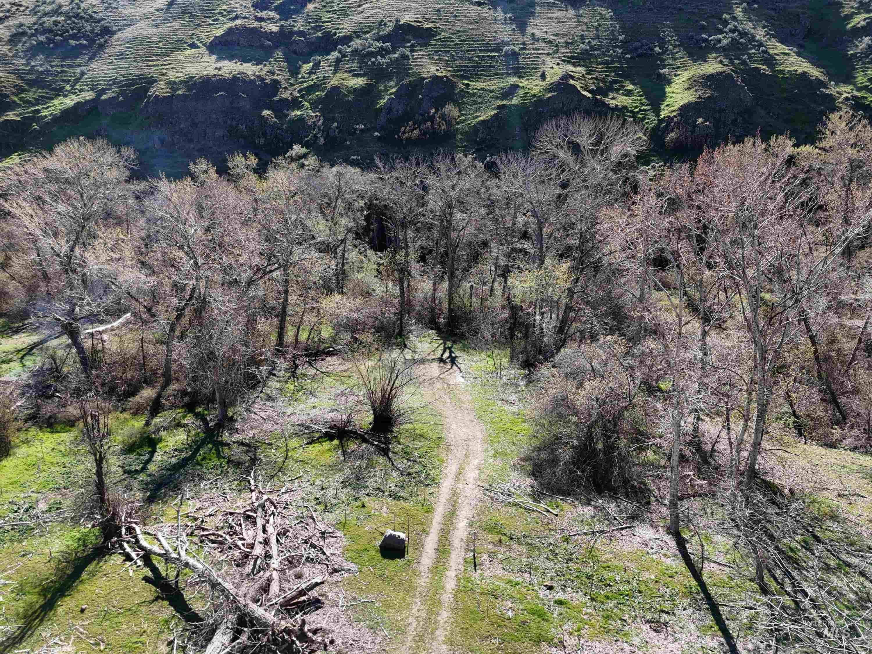 13761 Asotin Creek Road, Asotin, Washington 99402, Land For Sale, Price $475,000,MLS 98981960