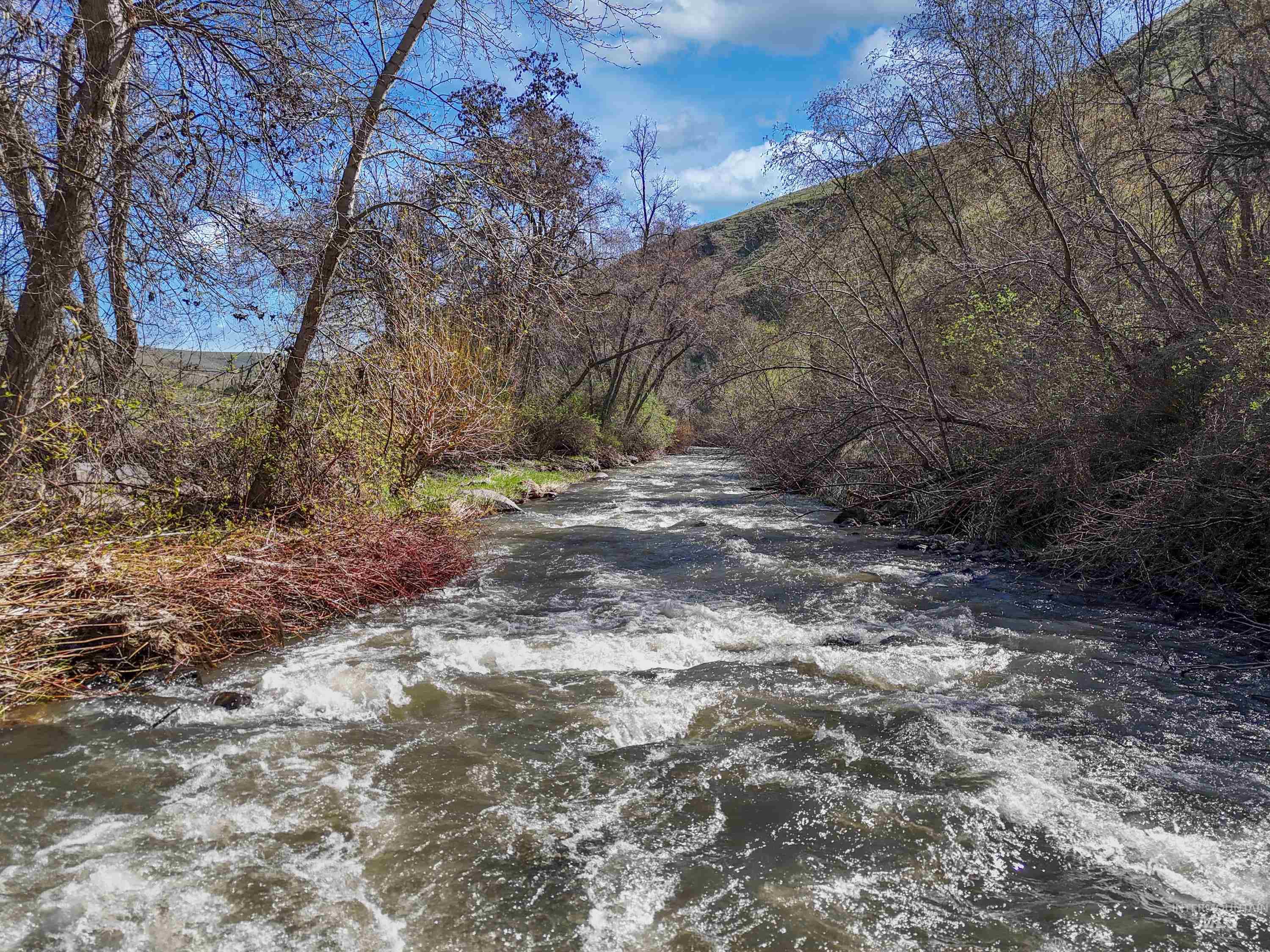 13761 Asotin Creek Road, Asotin, Washington 99402, Land For Sale, Price $475,000,MLS 98981960