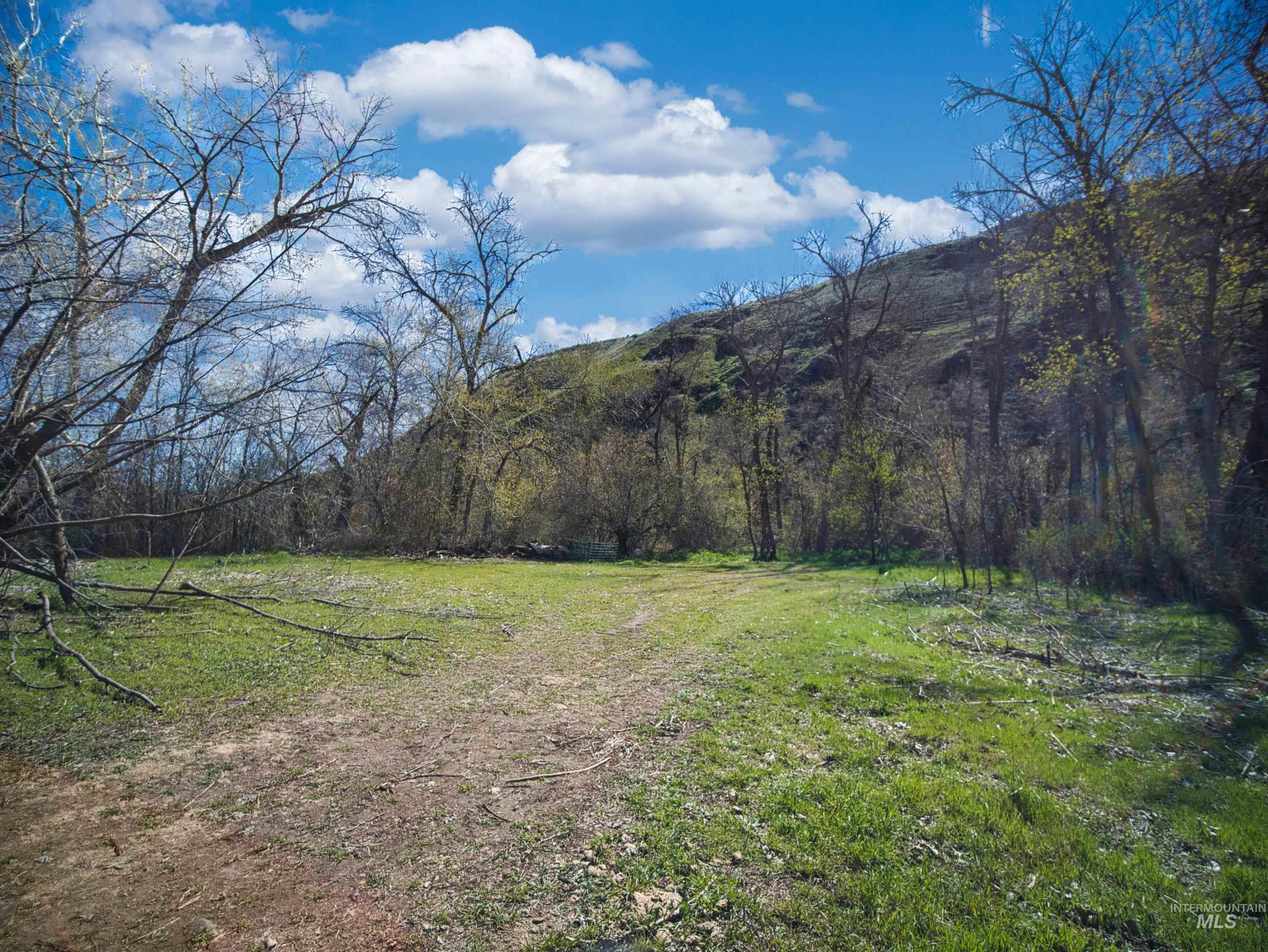 13761 Asotin Creek Road, Asotin, Washington 99402, Land For Sale, Price $475,000,MLS 98981960