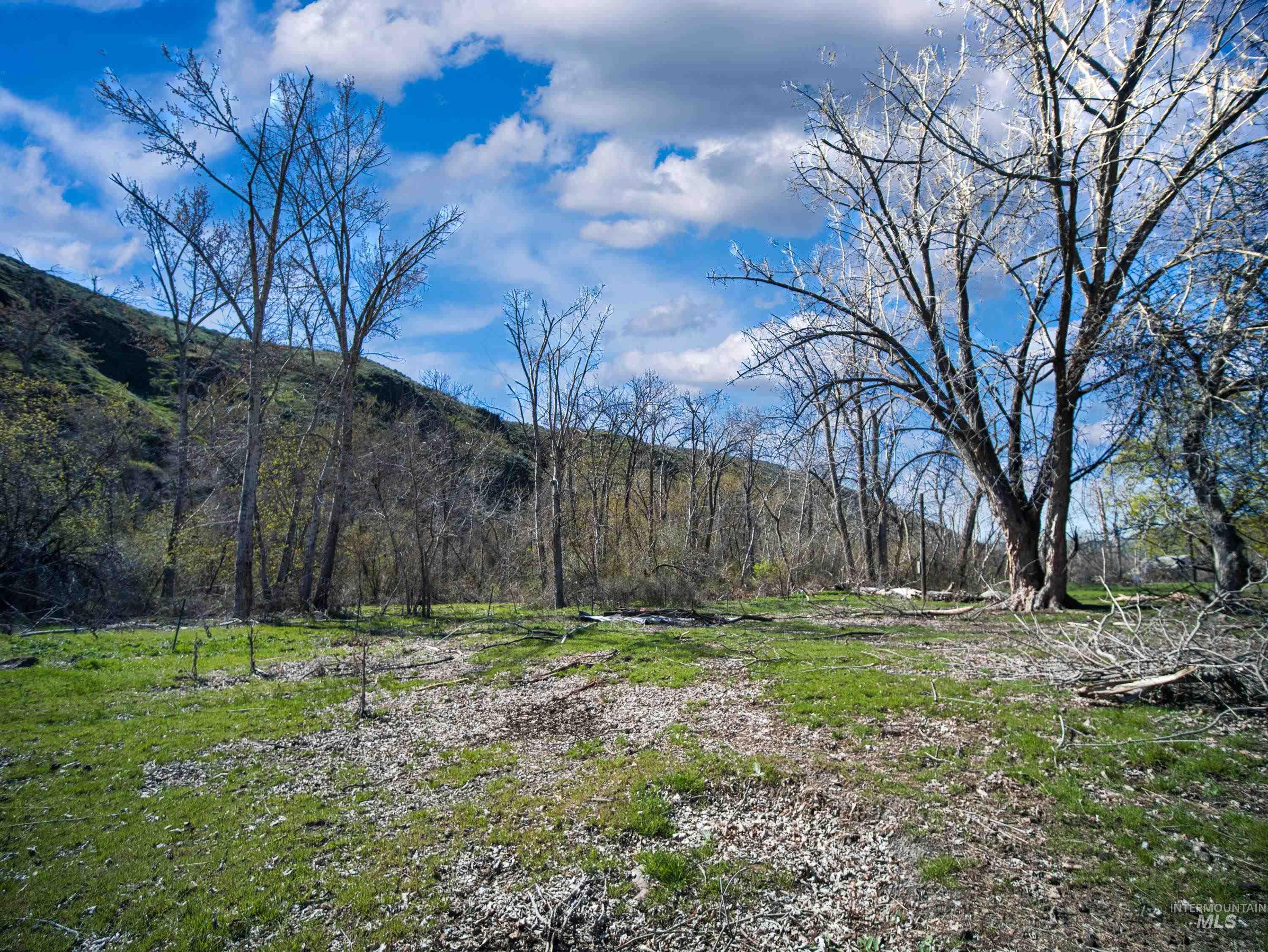 13761 Asotin Creek Road, Asotin, Washington 99402, Land For Sale, Price $475,000,MLS 98981960