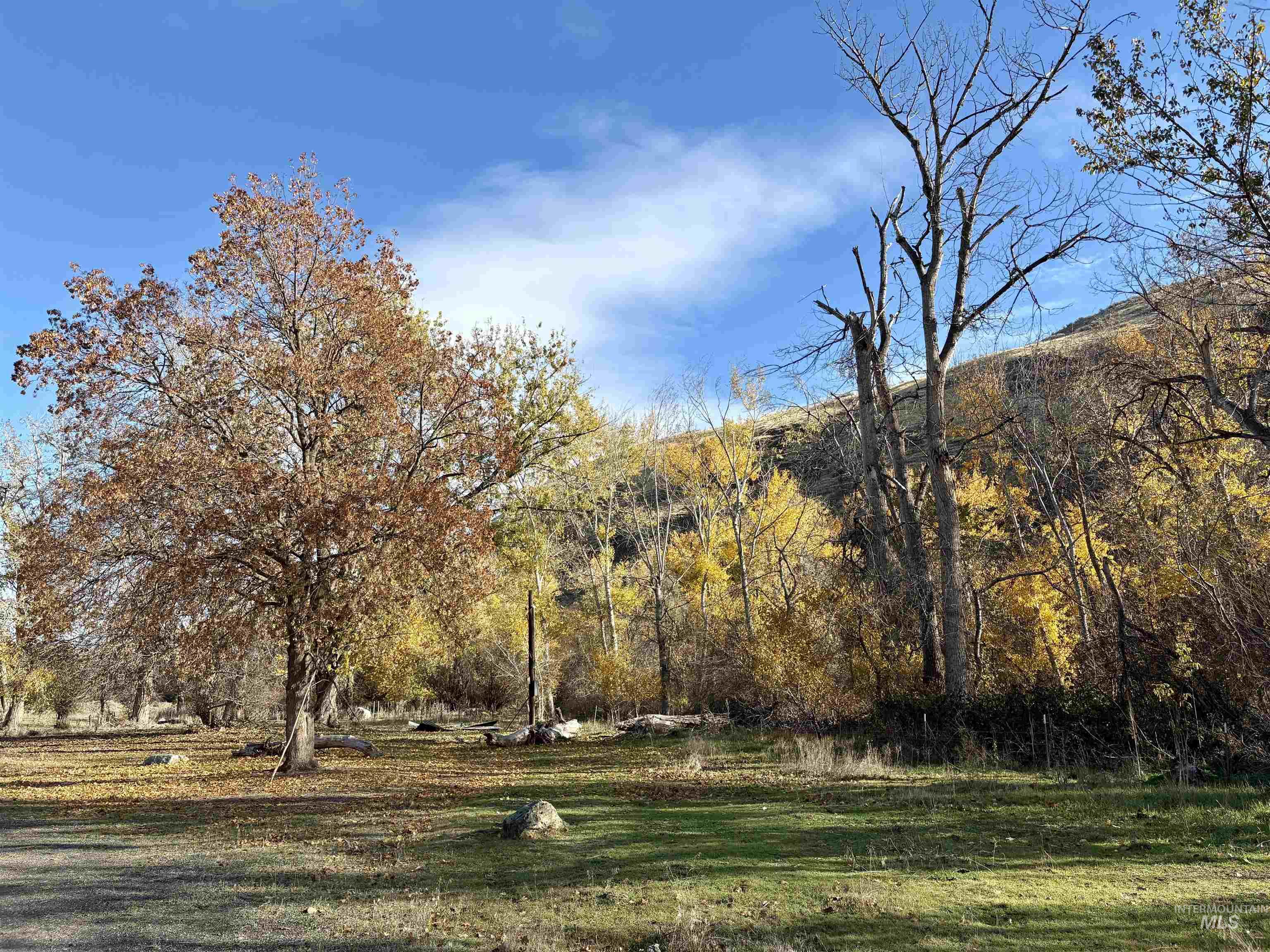 13761 Asotin Creek Road, Asotin, Washington 99402, Land For Sale, Price $475,000,MLS 98981960