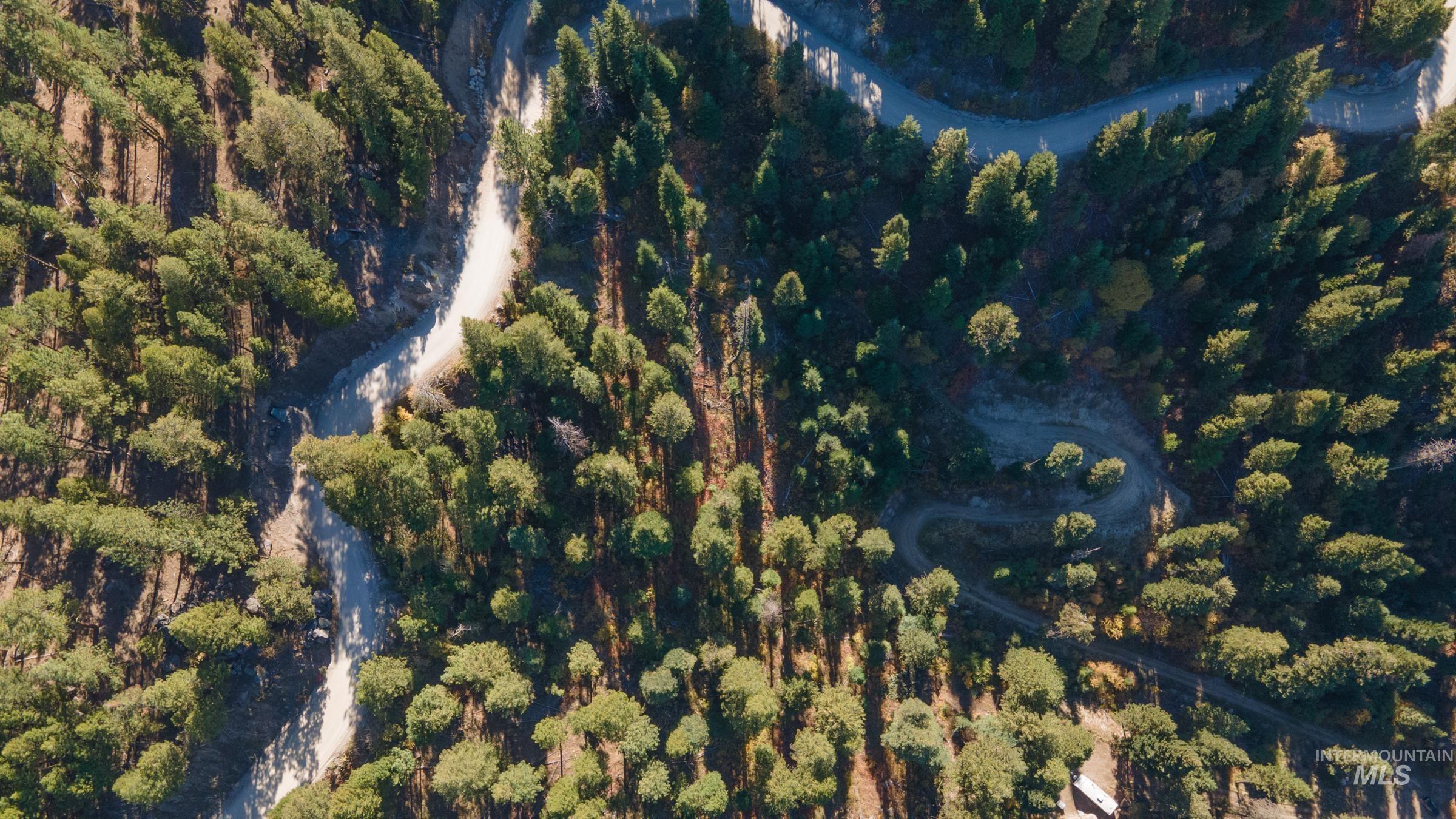 10 Crocus Ct., Cascade, Idaho 83611, Land For Sale, Price $110,000, 98981976