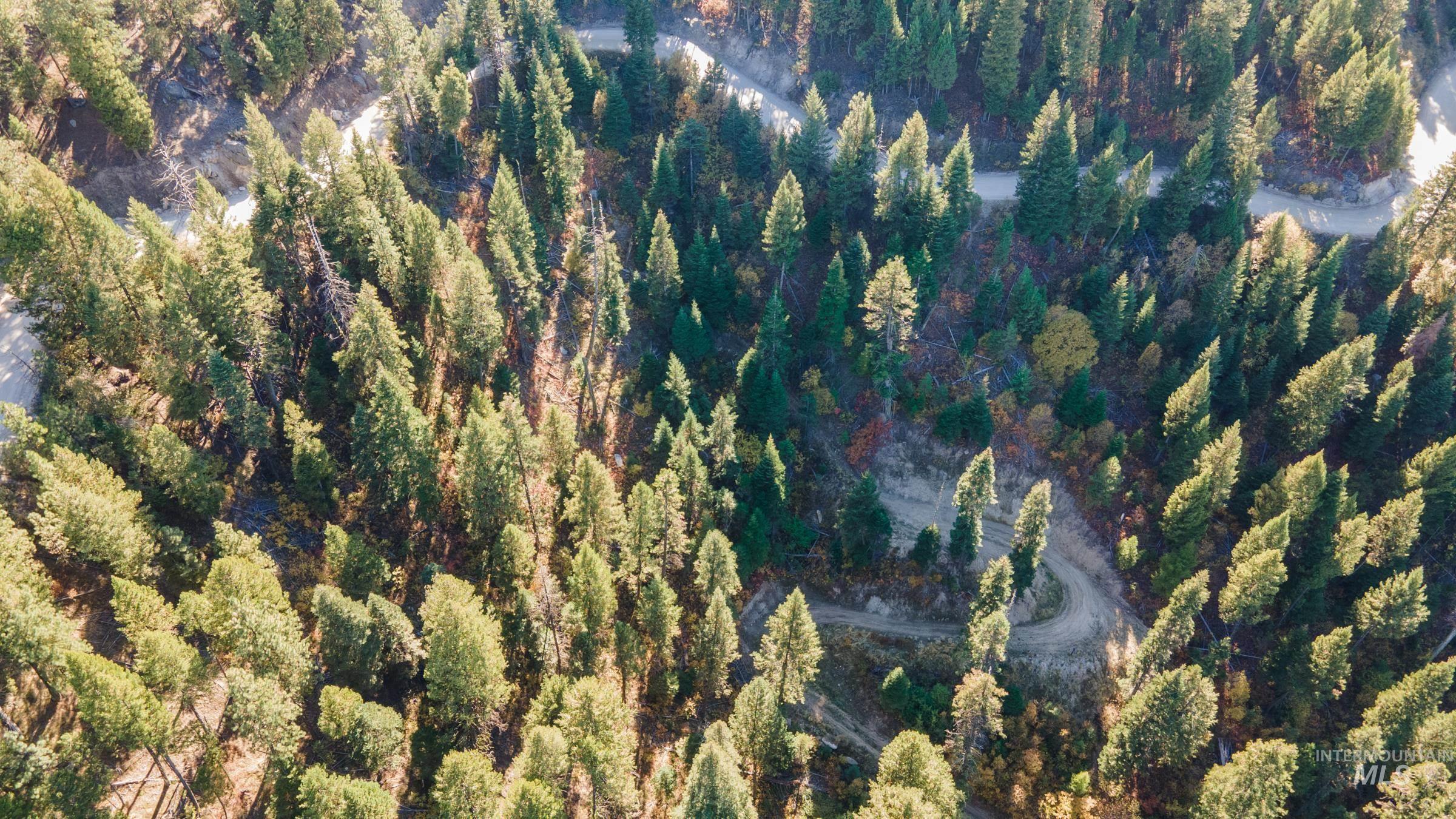 10 Crocus Ct., Cascade, Idaho 83611, Land For Sale, Price $110,000, 98981976