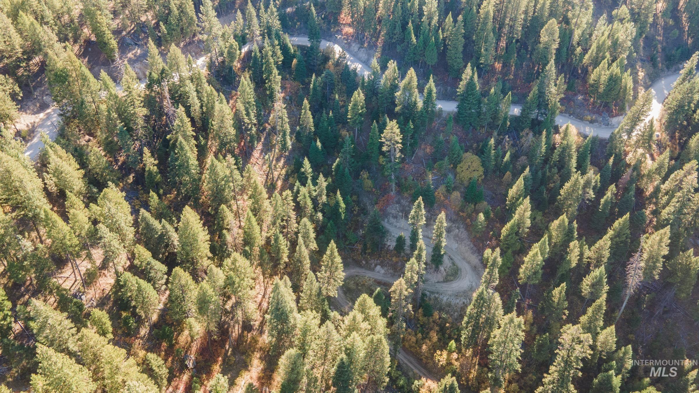 10 Crocus Ct., Cascade, Idaho 83611, Land For Sale, Price $110,000, 98981976