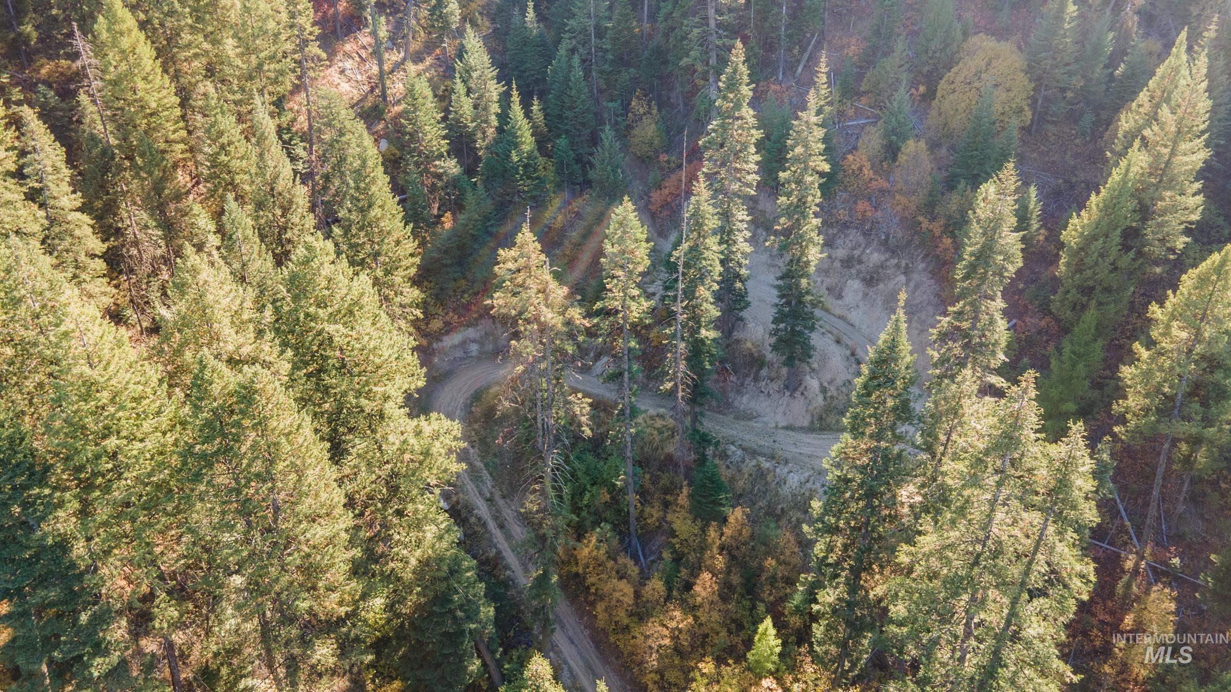 10 Crocus Ct., Cascade, Idaho 83611, Land For Sale, Price $110,000, 98981976