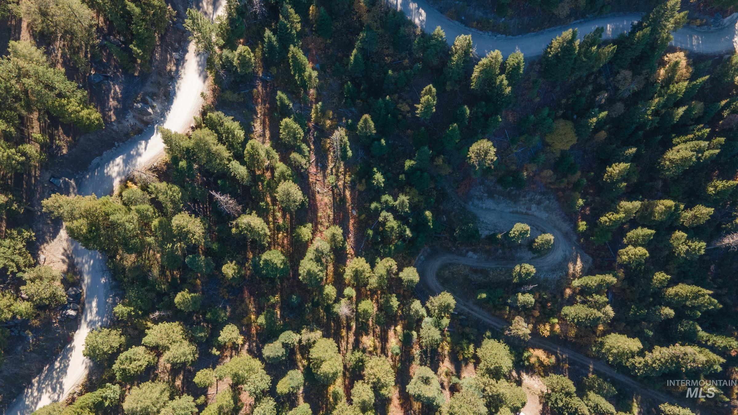 10 Crocus Ct., Cascade, Idaho 83611, Land For Sale, Price $110,000, 98981976