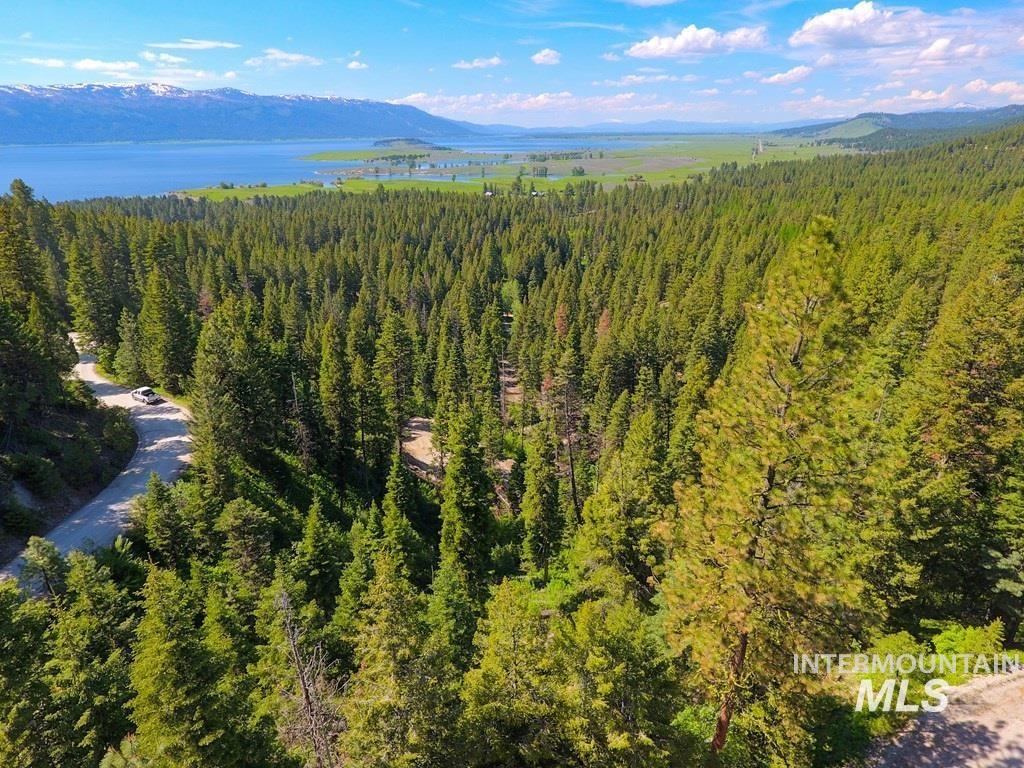 10 Crocus Ct., Cascade, Idaho 83611, Land For Sale, Price $110,000, 98981976