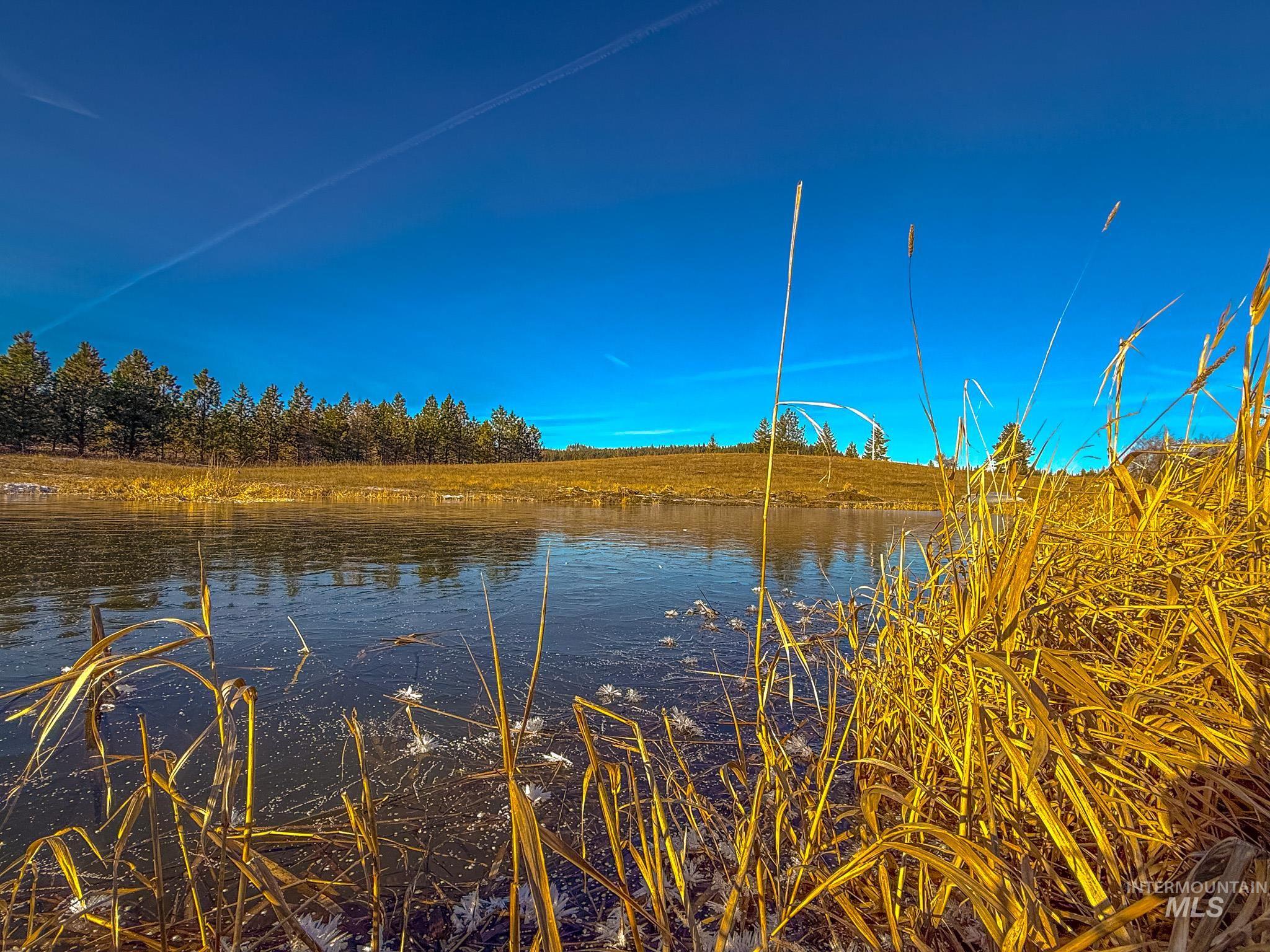 5404 Freeman Creek Rd, Lenore, Idaho 83541, 3 Bedrooms, 3 Bathrooms, Residential For Sale, Price $949,000, 98981990