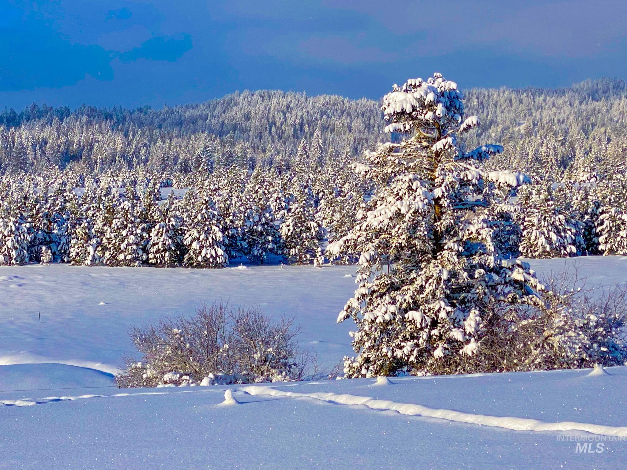 5404 Freeman Creek Rd, Lenore, Idaho 83541, 3 Bedrooms, 3 Bathrooms, Residential For Sale, Price $949,000, 98981990