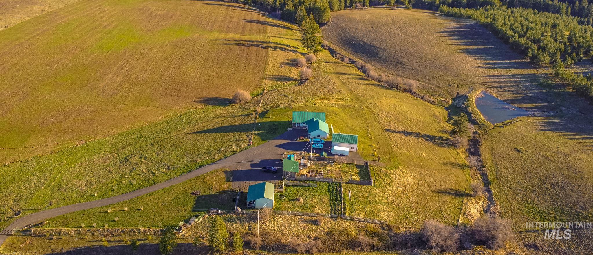 5404 Freeman Creek Rd, Lenore, Idaho 83541, 3 Bedrooms, 3 Bathrooms, Residential For Sale, Price $949,000, 98981990