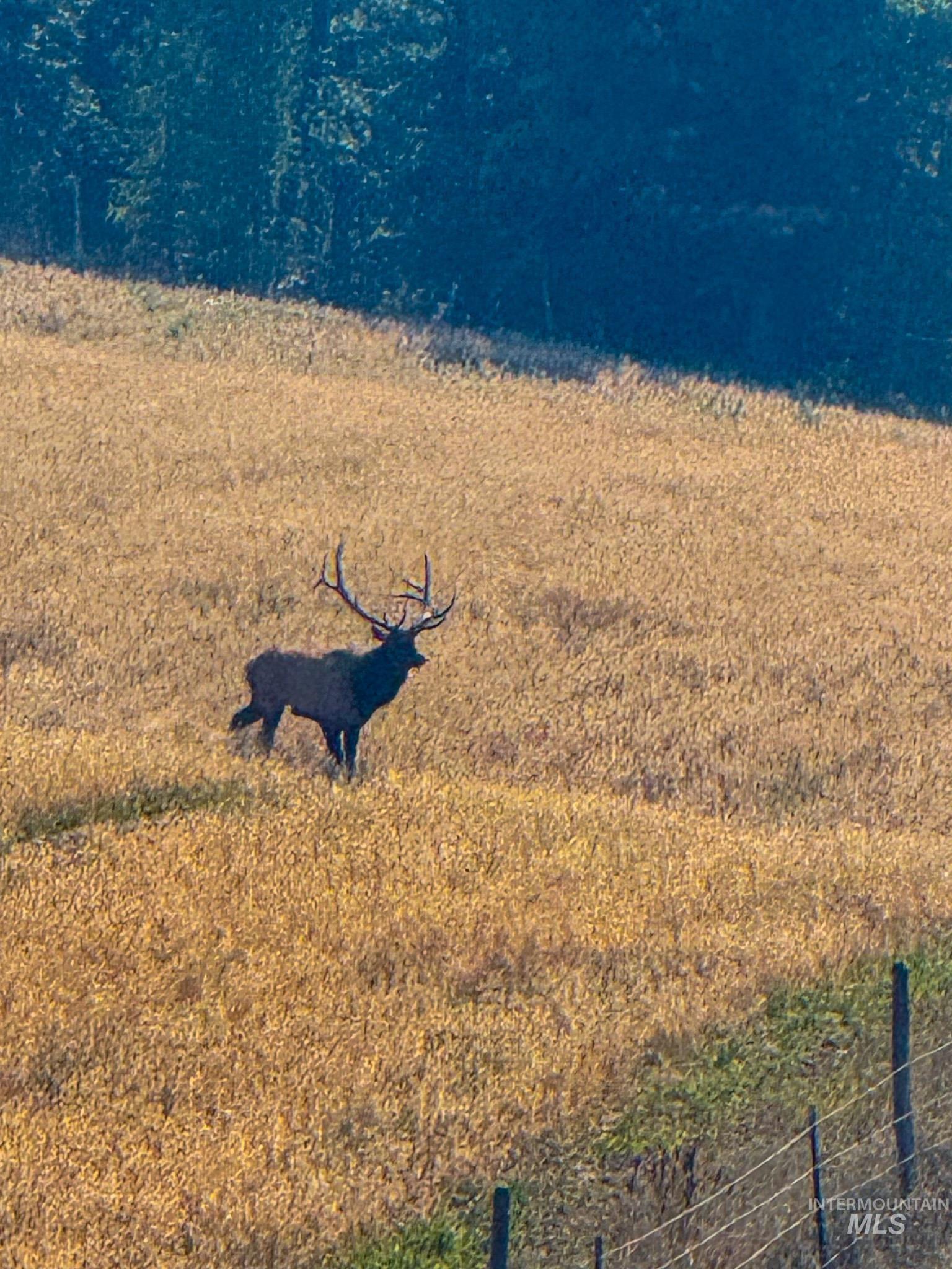 5404 Freeman Creek Rd, Lenore, Idaho 83541, 3 Bedrooms, 3 Bathrooms, Residential For Sale, Price $949,000, 98981990