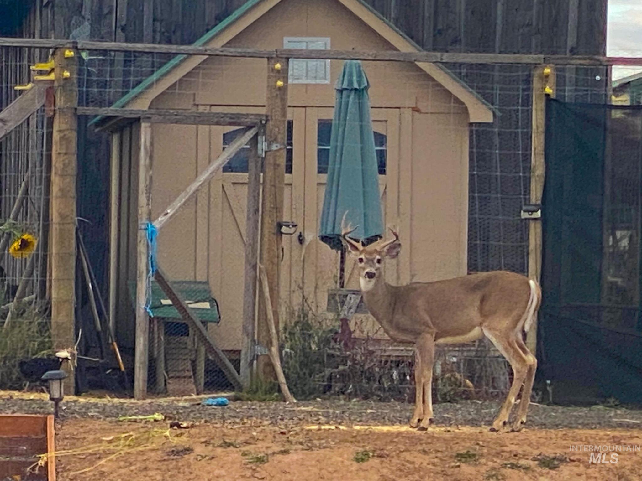 5404 Freeman Creek Rd, Lenore, Idaho 83541, 3 Bedrooms, 3 Bathrooms, Residential For Sale, Price $949,000, 98981990