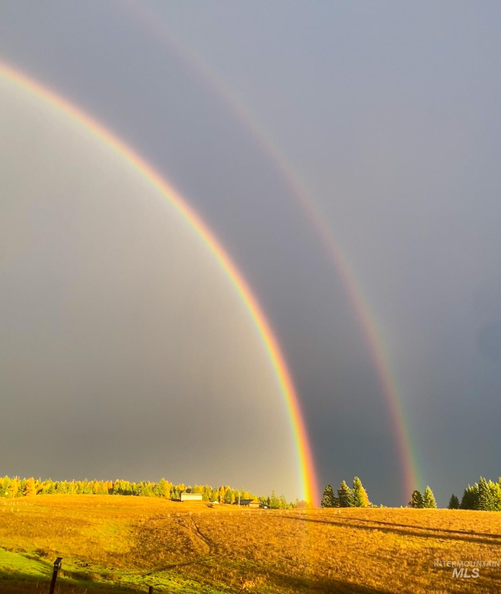 5404 Freeman Creek Rd, Lenore, Idaho 83541, 3 Bedrooms, 3 Bathrooms, Residential For Sale, Price $949,000, 98981990
