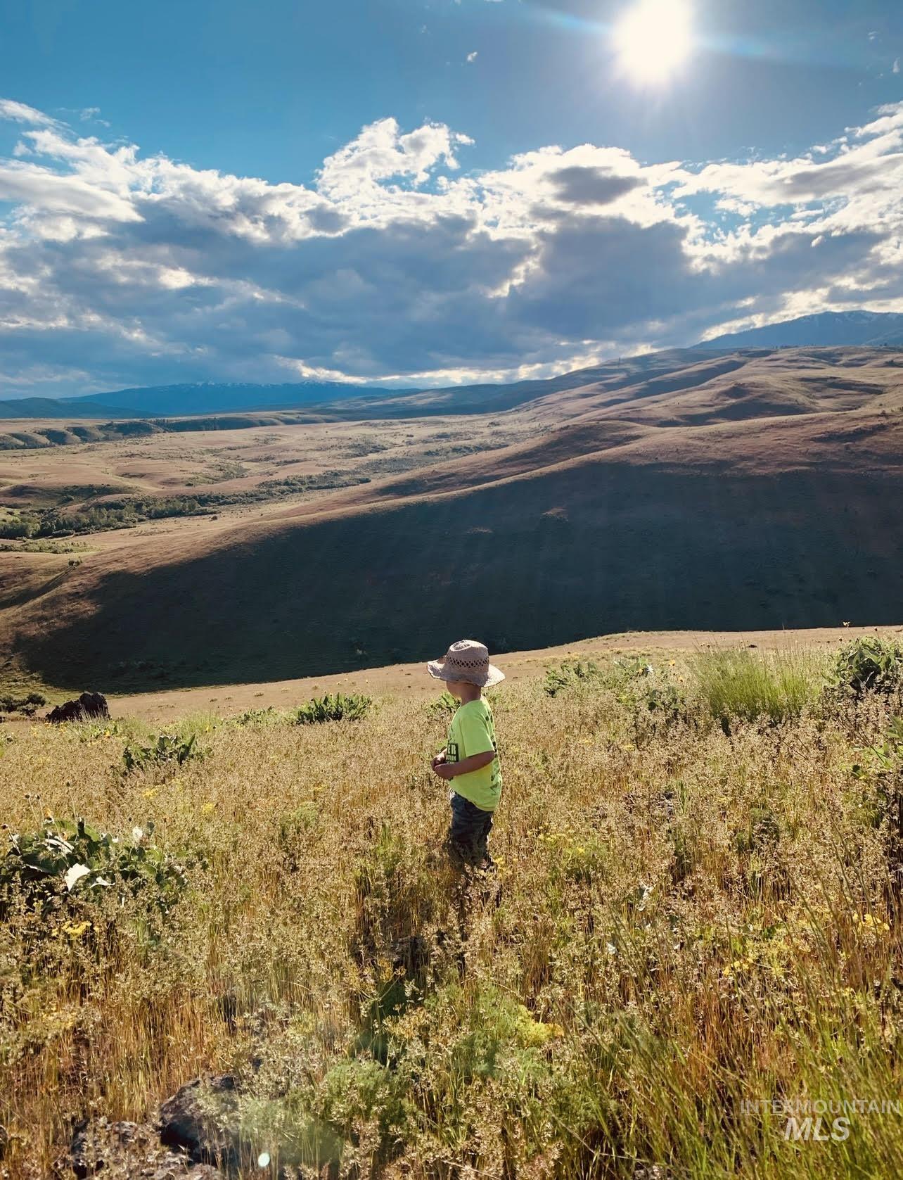 1720 Johnson Creek Road, Council, Idaho 83612, Land For Sale, Price $260,000, 98982005