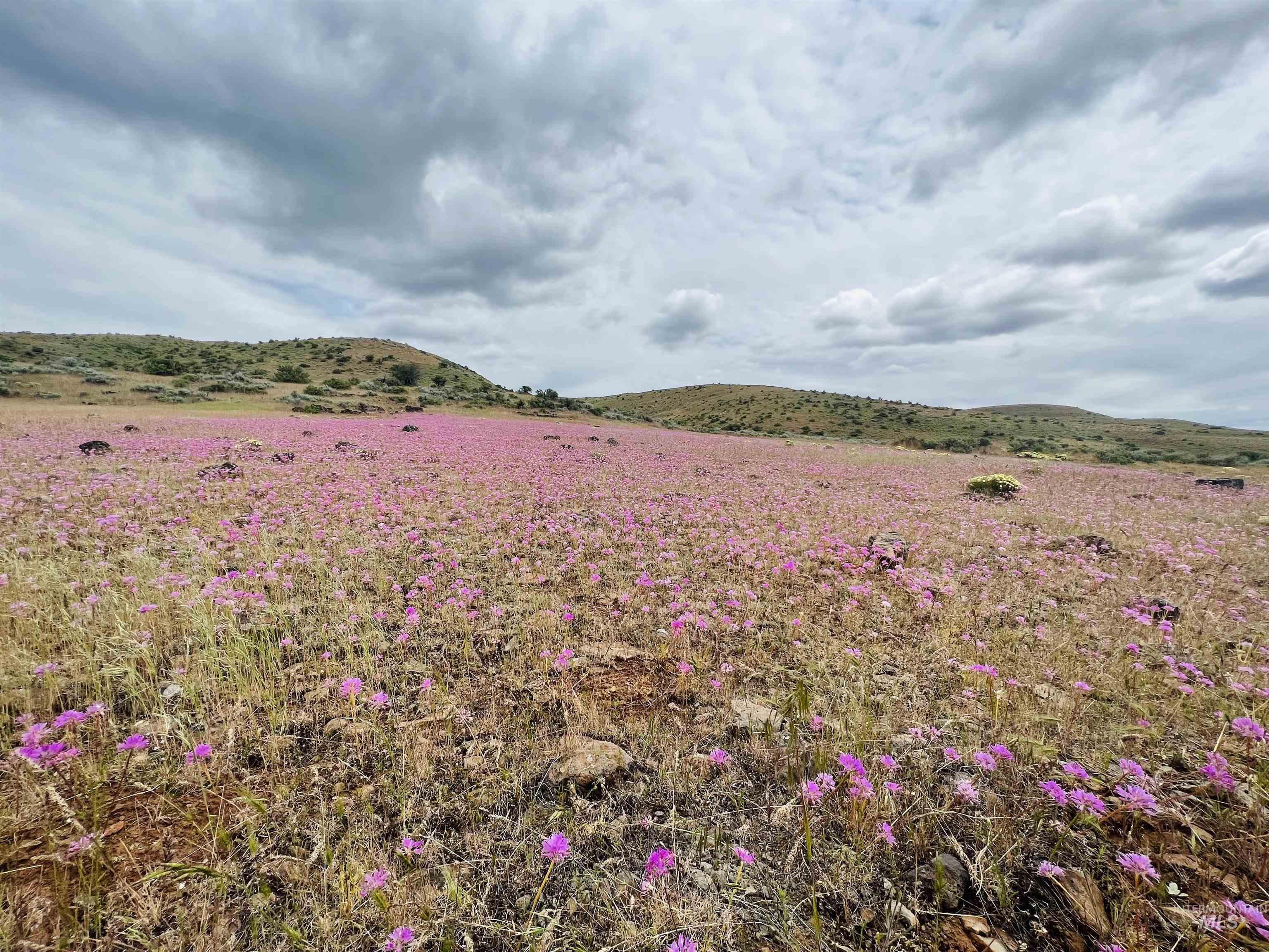 1720 Johnson Creek Road, Council, Idaho 83612, Land For Sale, Price $260,000, 98982005
