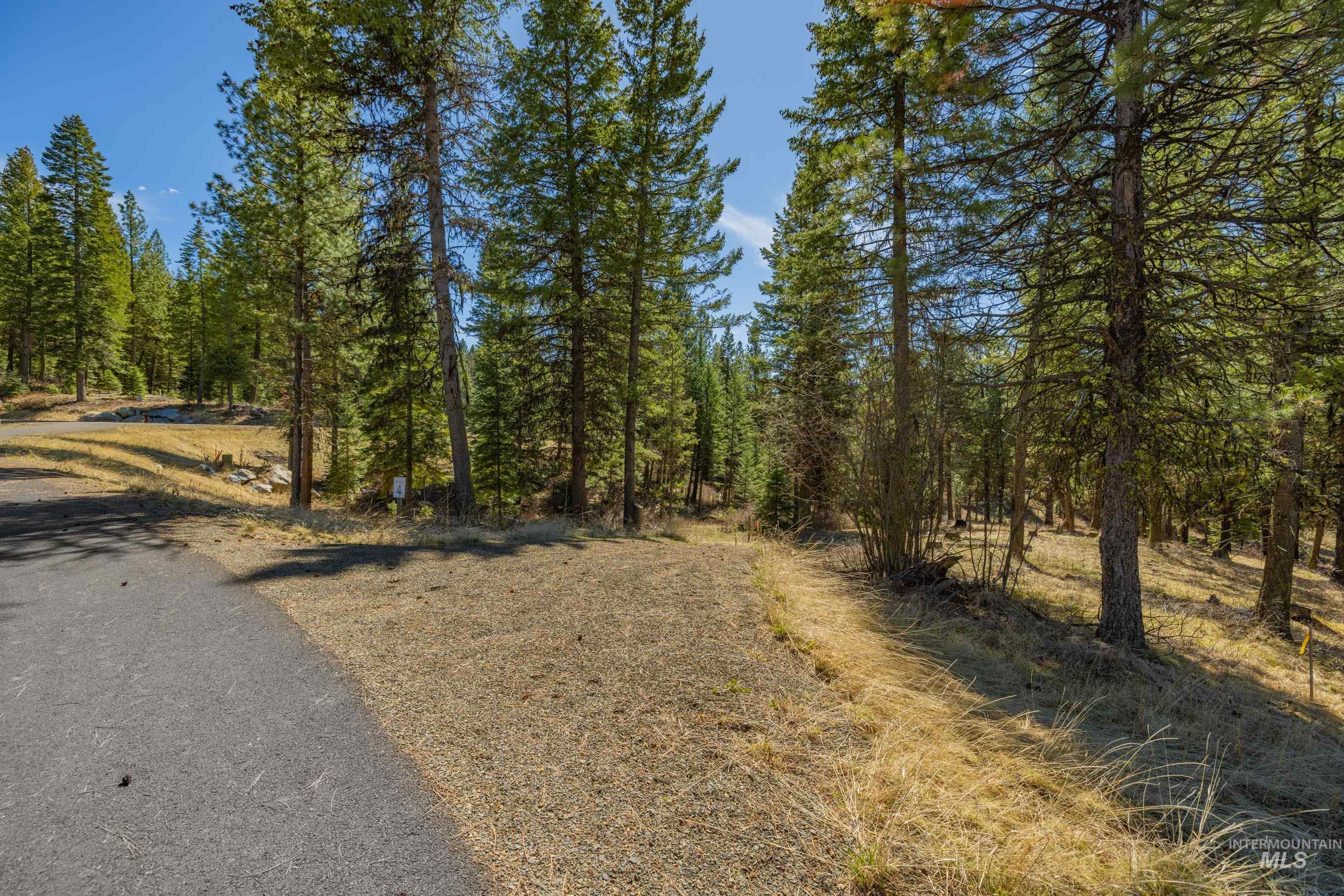 15 York Street, McCall, Idaho 83638, Land For Sale, Price $254,150, 98982028