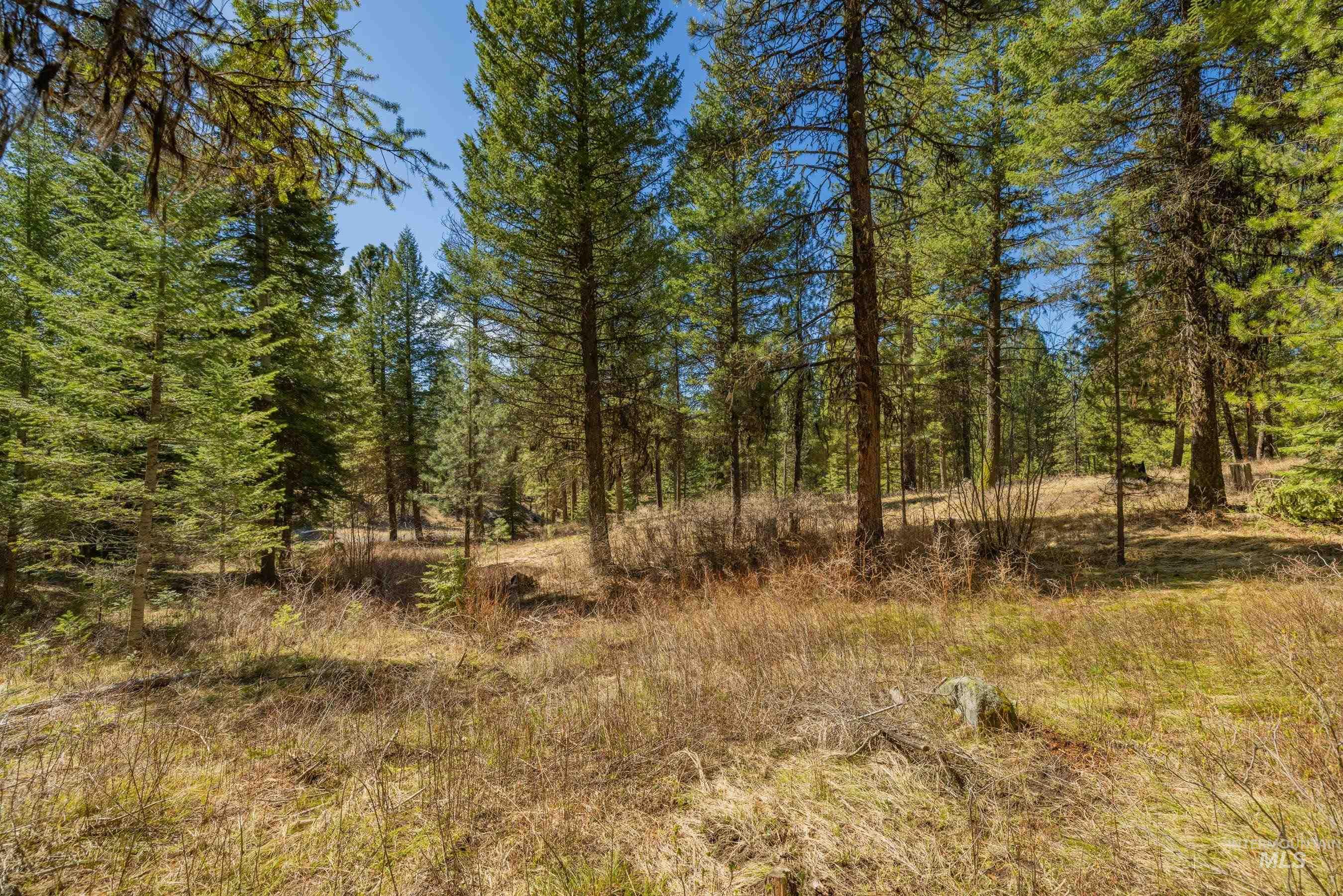 15 York Street, McCall, Idaho 83638, Land For Sale, Price $254,150, 98982028