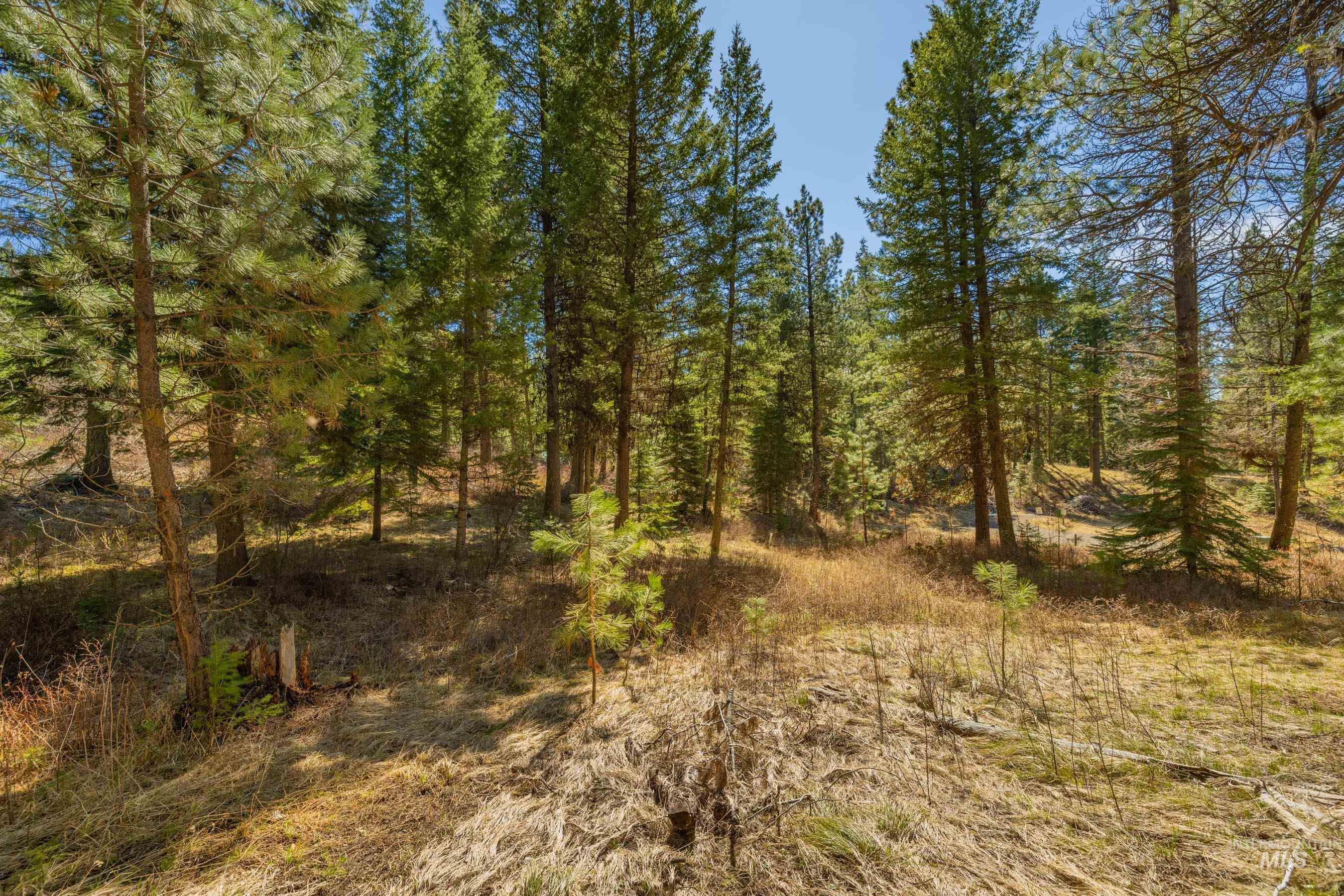 15 York Street, McCall, Idaho 83638, Land For Sale, Price $254,150, 98982028