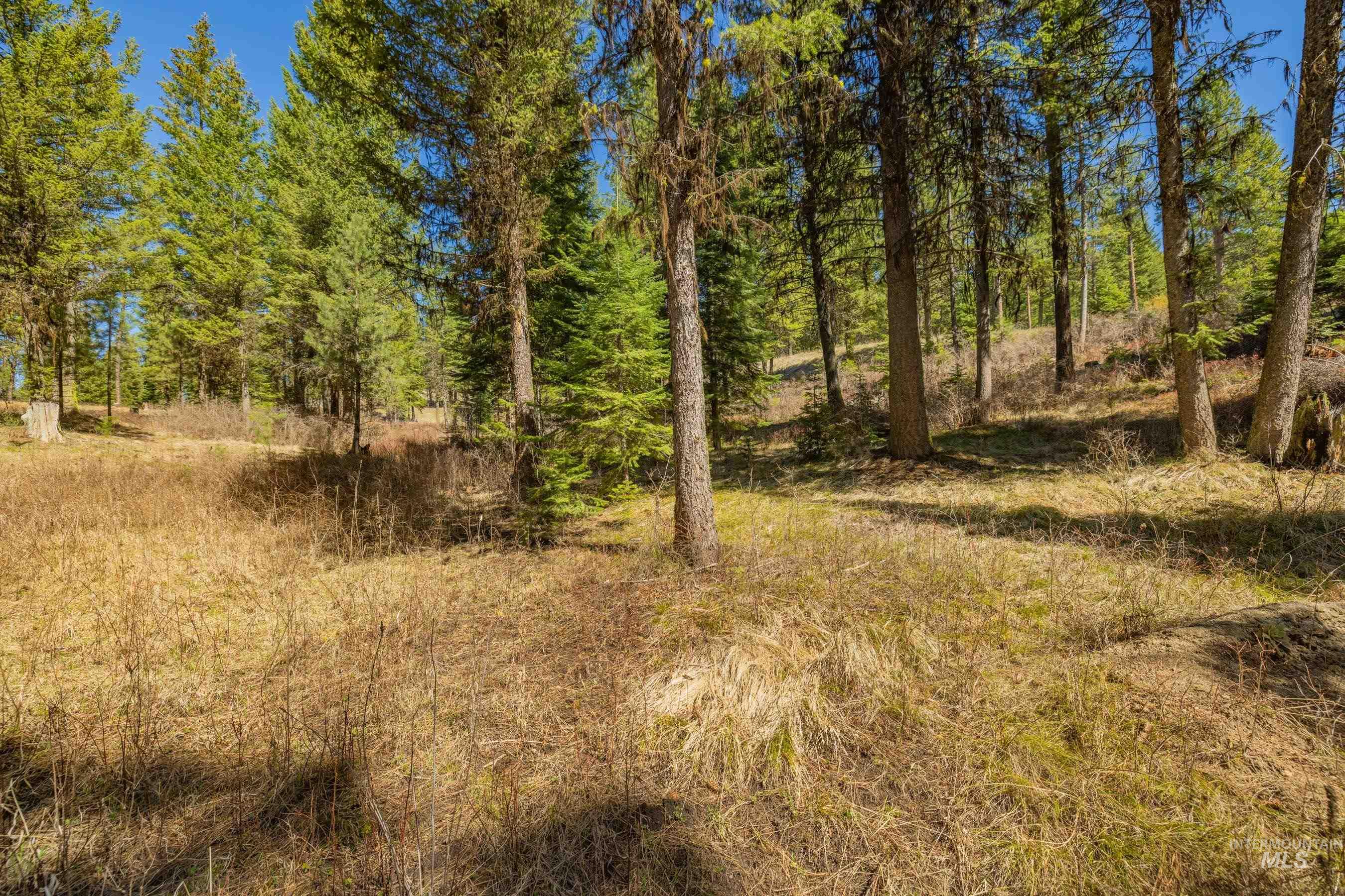 15 York Street, McCall, Idaho 83638, Land For Sale, Price $254,150, 98982028