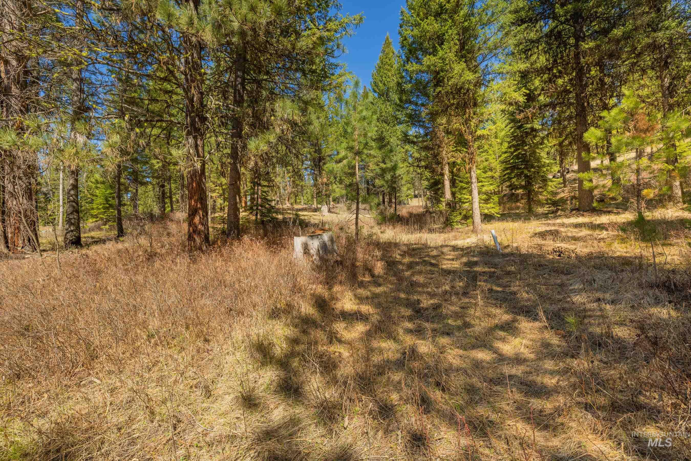 15 York Street, McCall, Idaho 83638, Land For Sale, Price $254,150, 98982028
