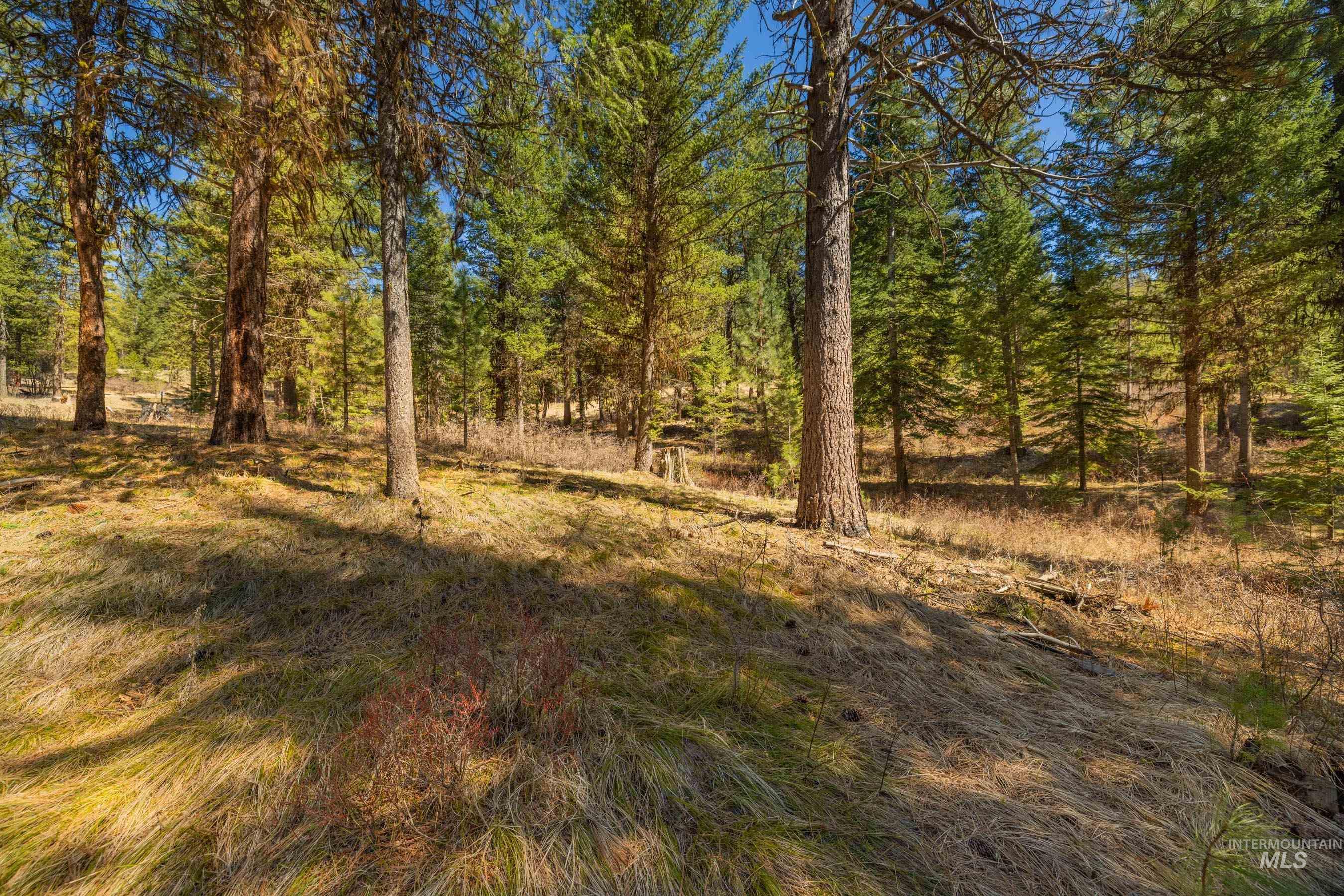 15 York Street, McCall, Idaho 83638, Land For Sale, Price $254,150, 98982028
