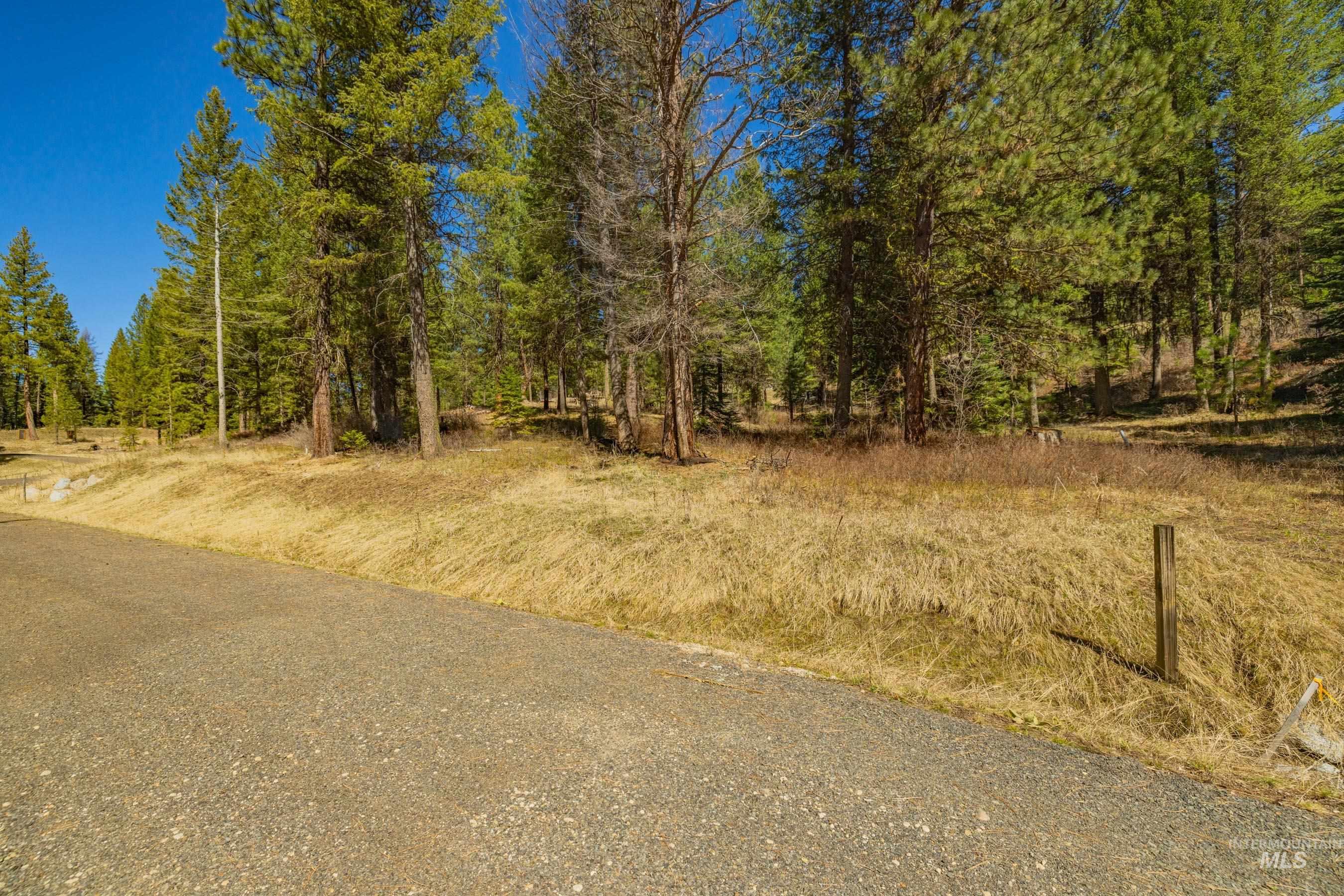 15 York Street, McCall, Idaho 83638, Land For Sale, Price $254,150, 98982028