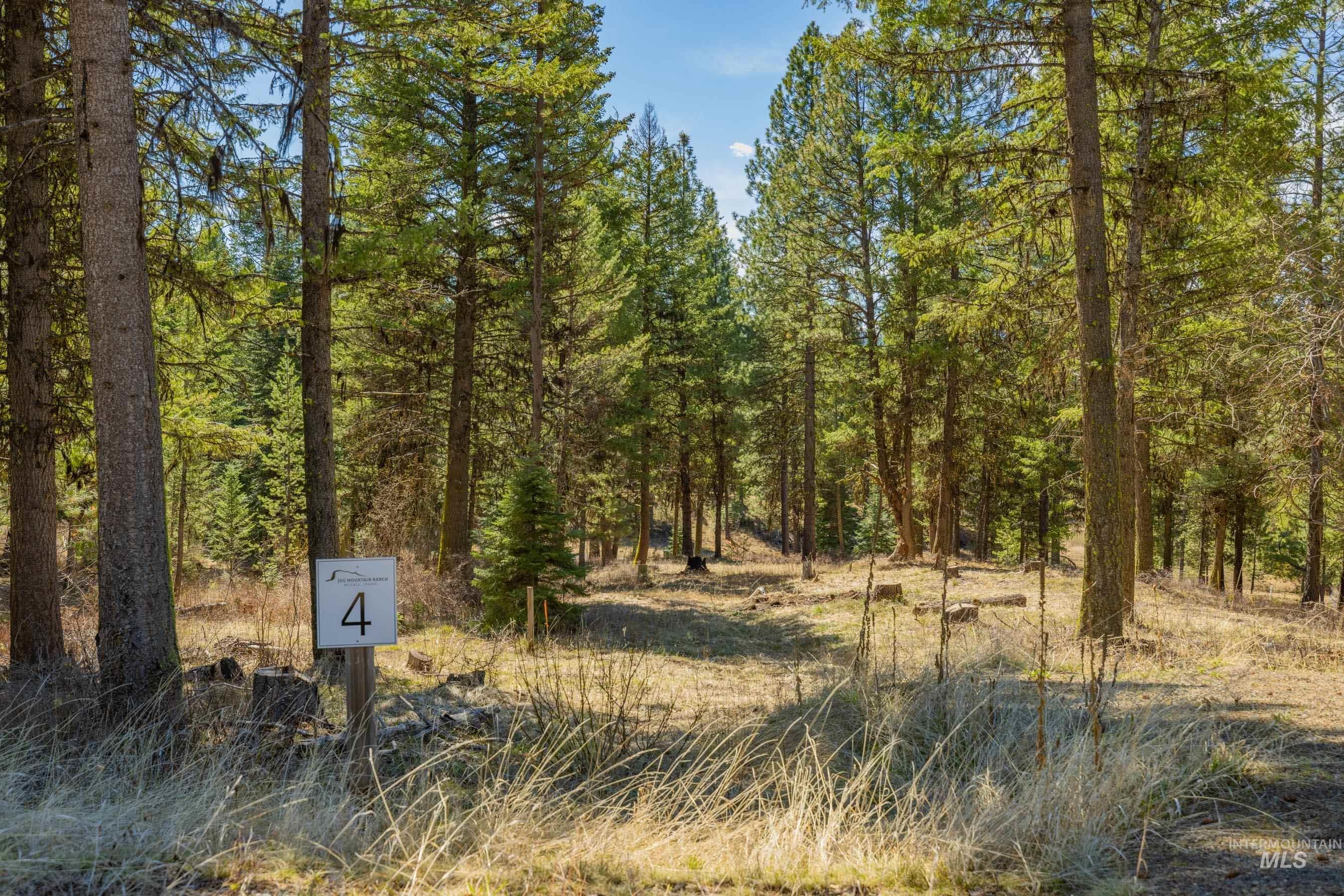 15 York Street, McCall, Idaho 83638, Land For Sale, Price $254,150, 98982028