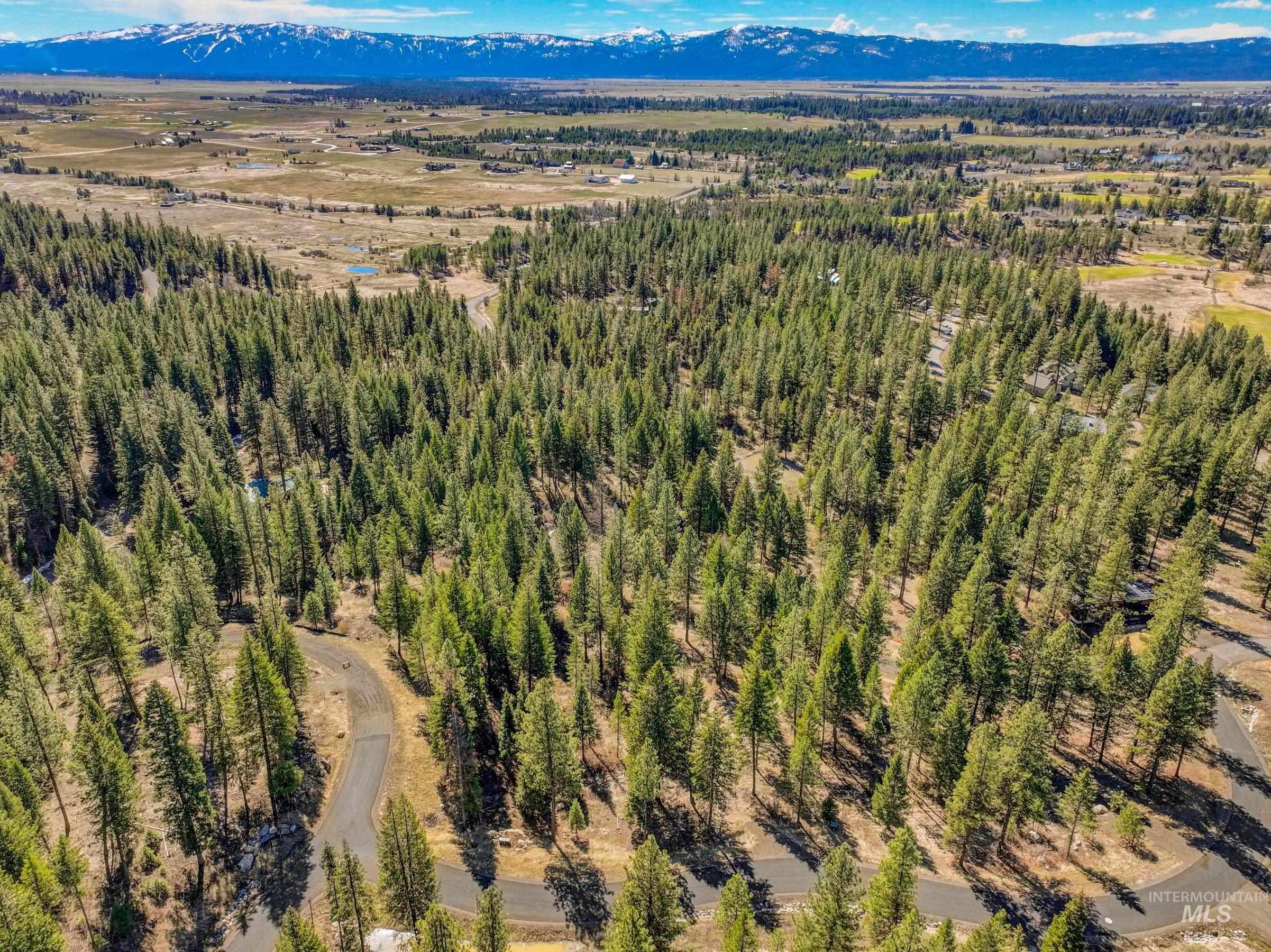 15 York Street, McCall, Idaho 83638, Land For Sale, Price $254,150, 98982028
