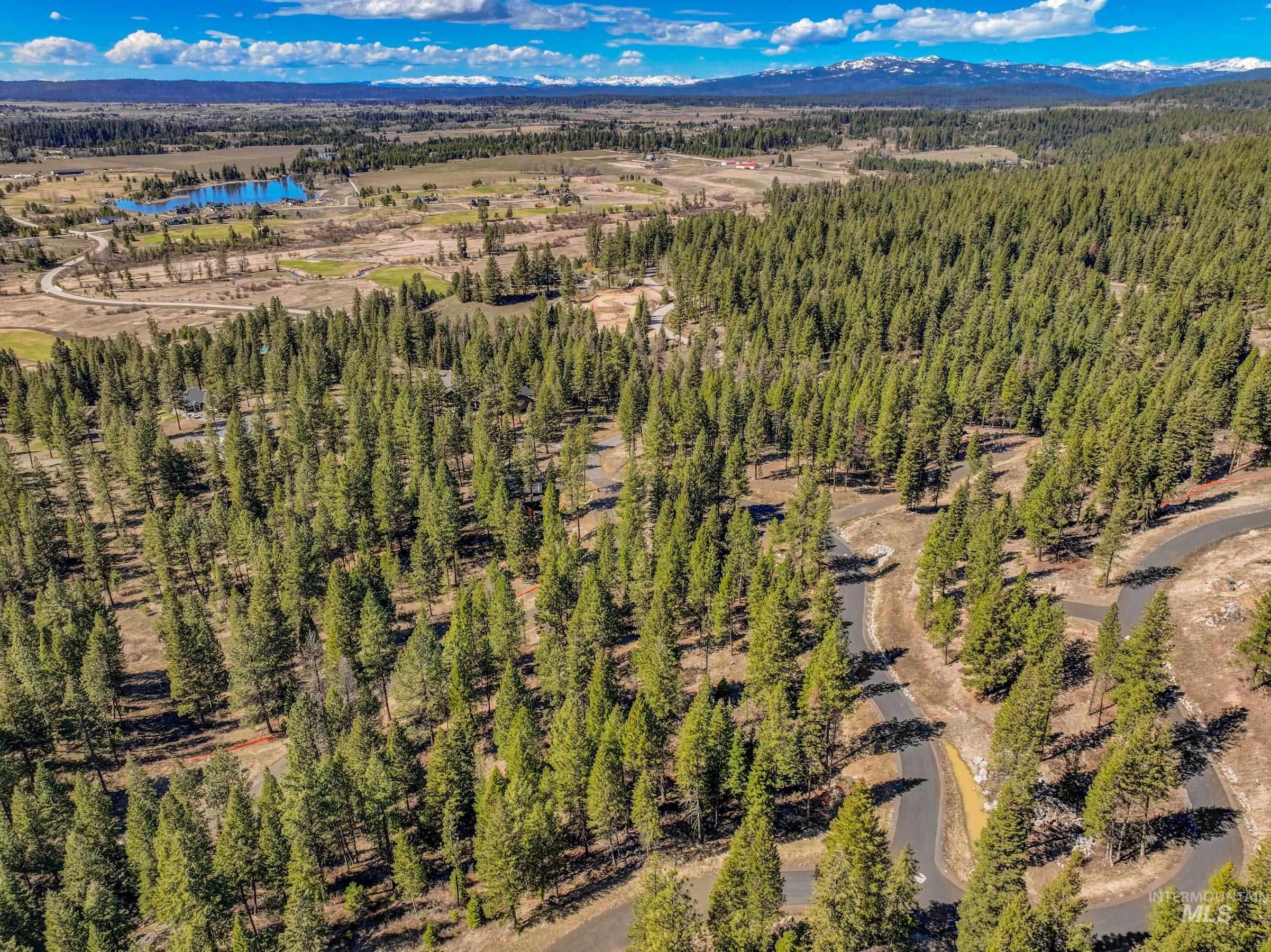 15 York Street, McCall, Idaho 83638, Land For Sale, Price $254,150, 98982028