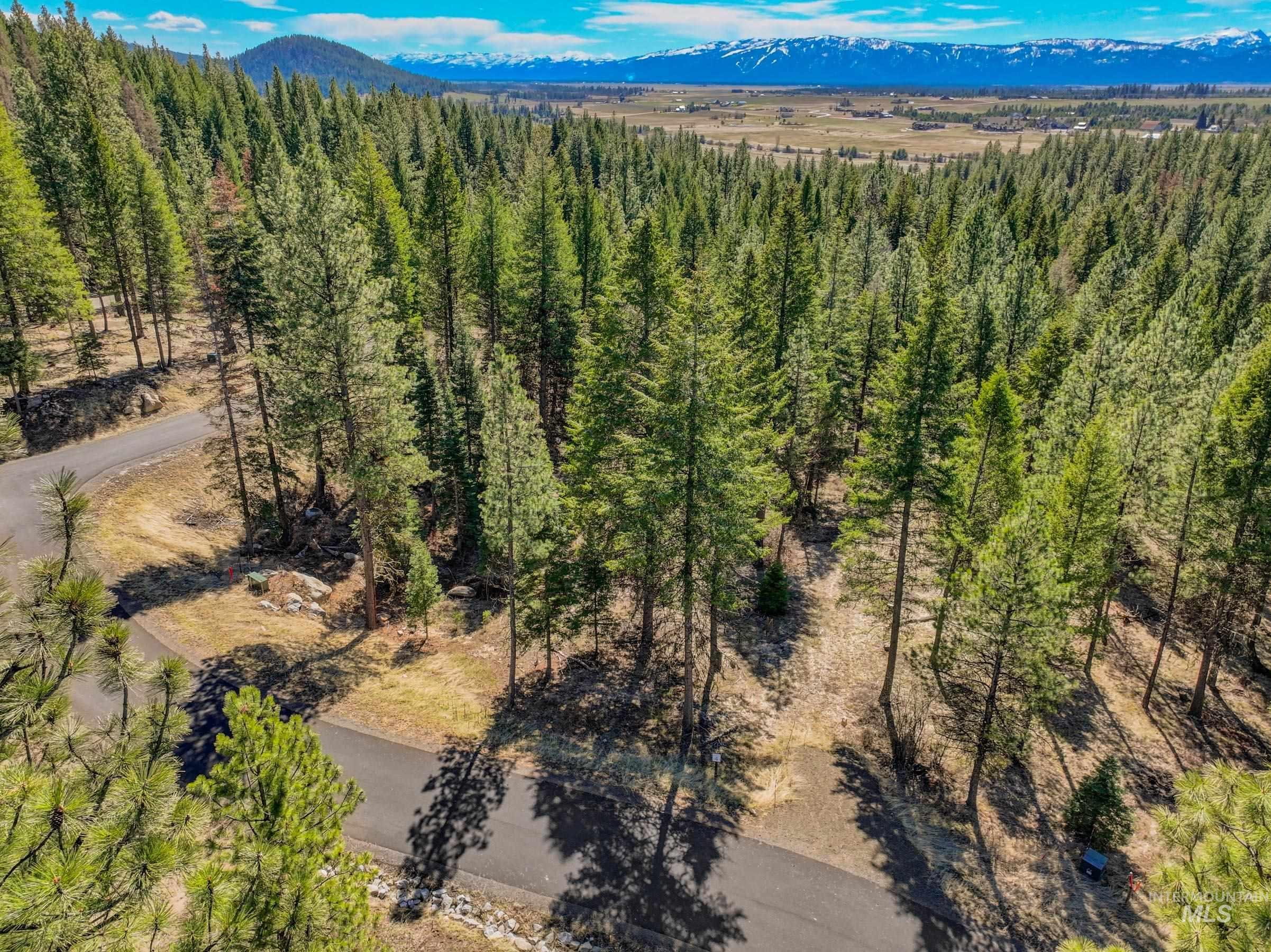 15 York Street, McCall, Idaho 83638, Land For Sale, Price $254,150, 98982028