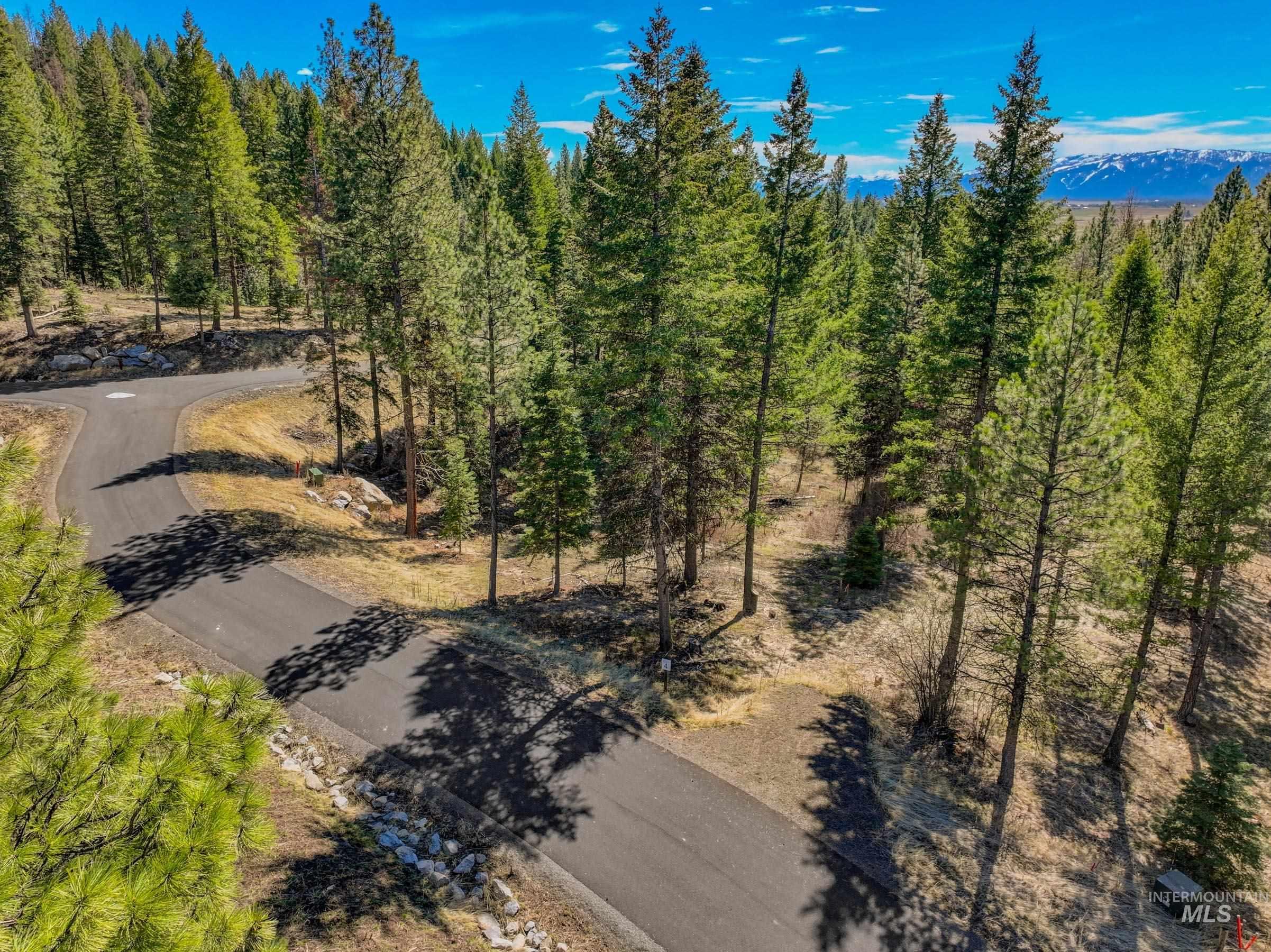 15 York Street, McCall, Idaho 83638, Land For Sale, Price $254,150, 98982028