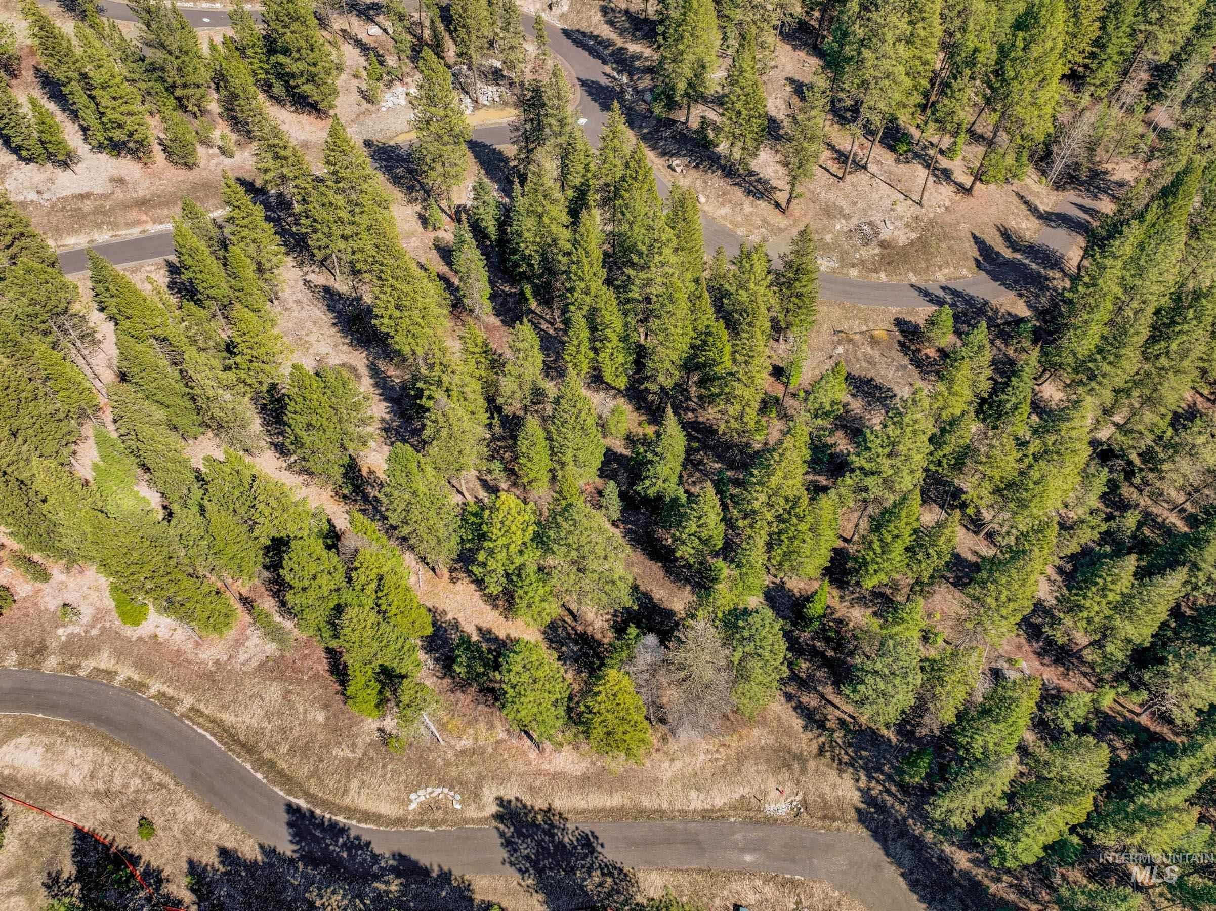 15 York Street, McCall, Idaho 83638, Land For Sale, Price $254,150, 98982028