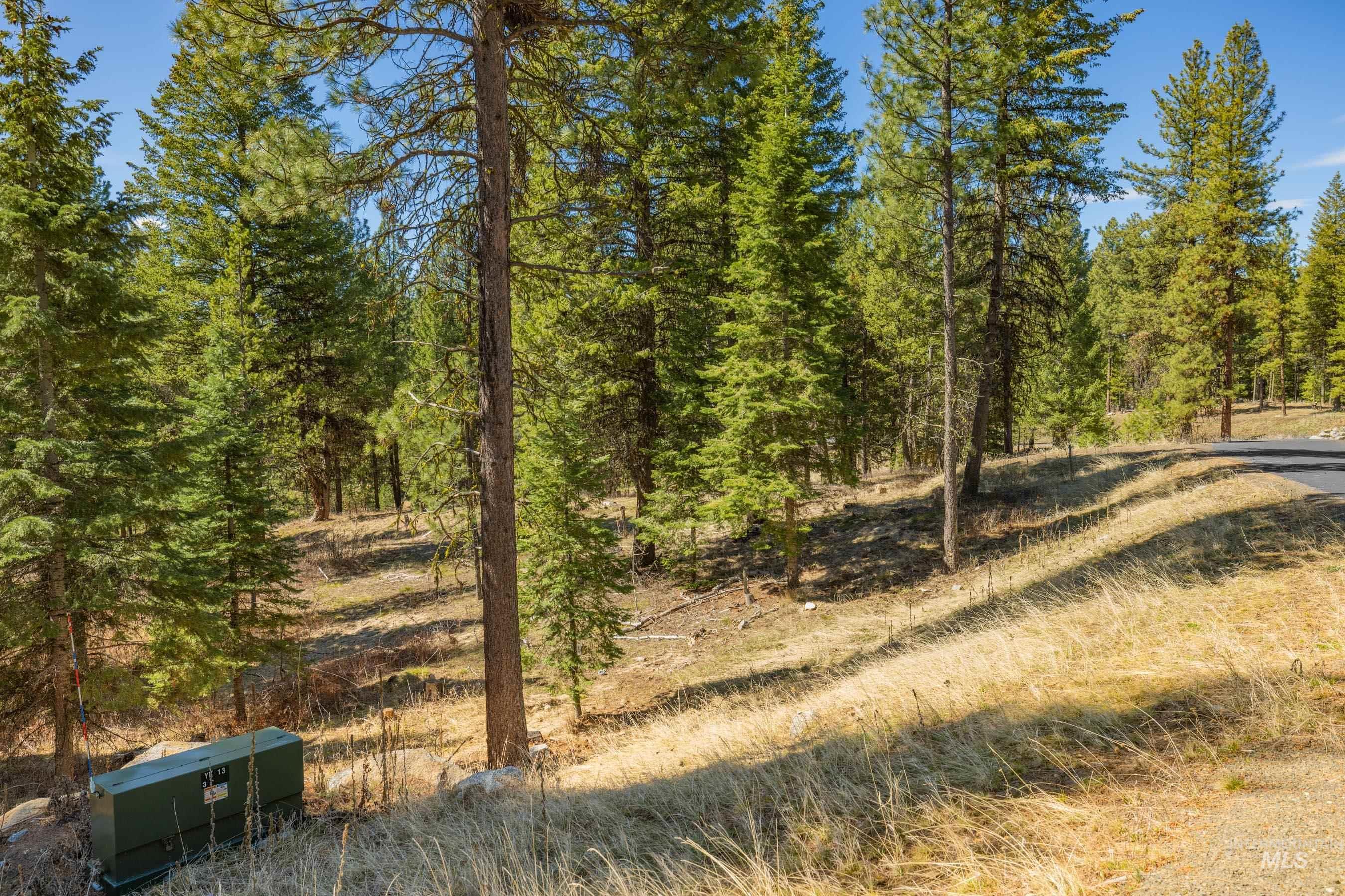 15 York Street, McCall, Idaho 83638, Land For Sale, Price $254,150, 98982028