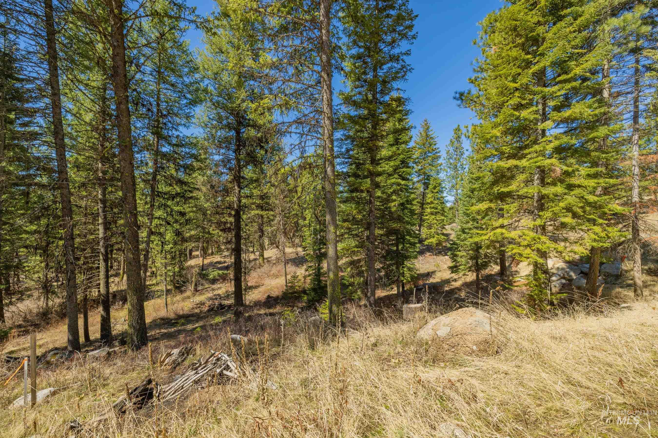 15 York Street, McCall, Idaho 83638, Land For Sale, Price $254,150, 98982028