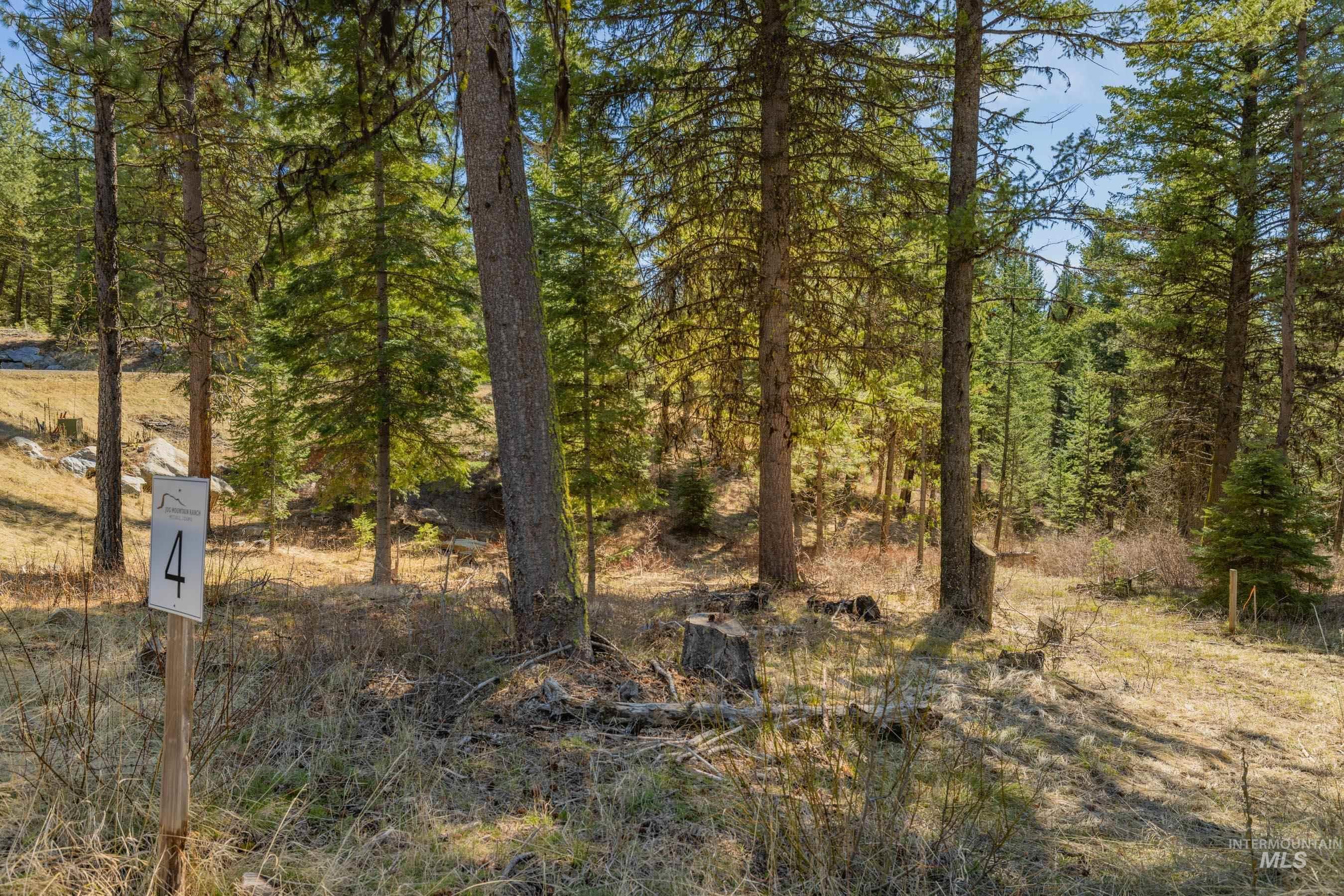 15 York Street, McCall, Idaho 83638, Land For Sale, Price $254,150, 98982028