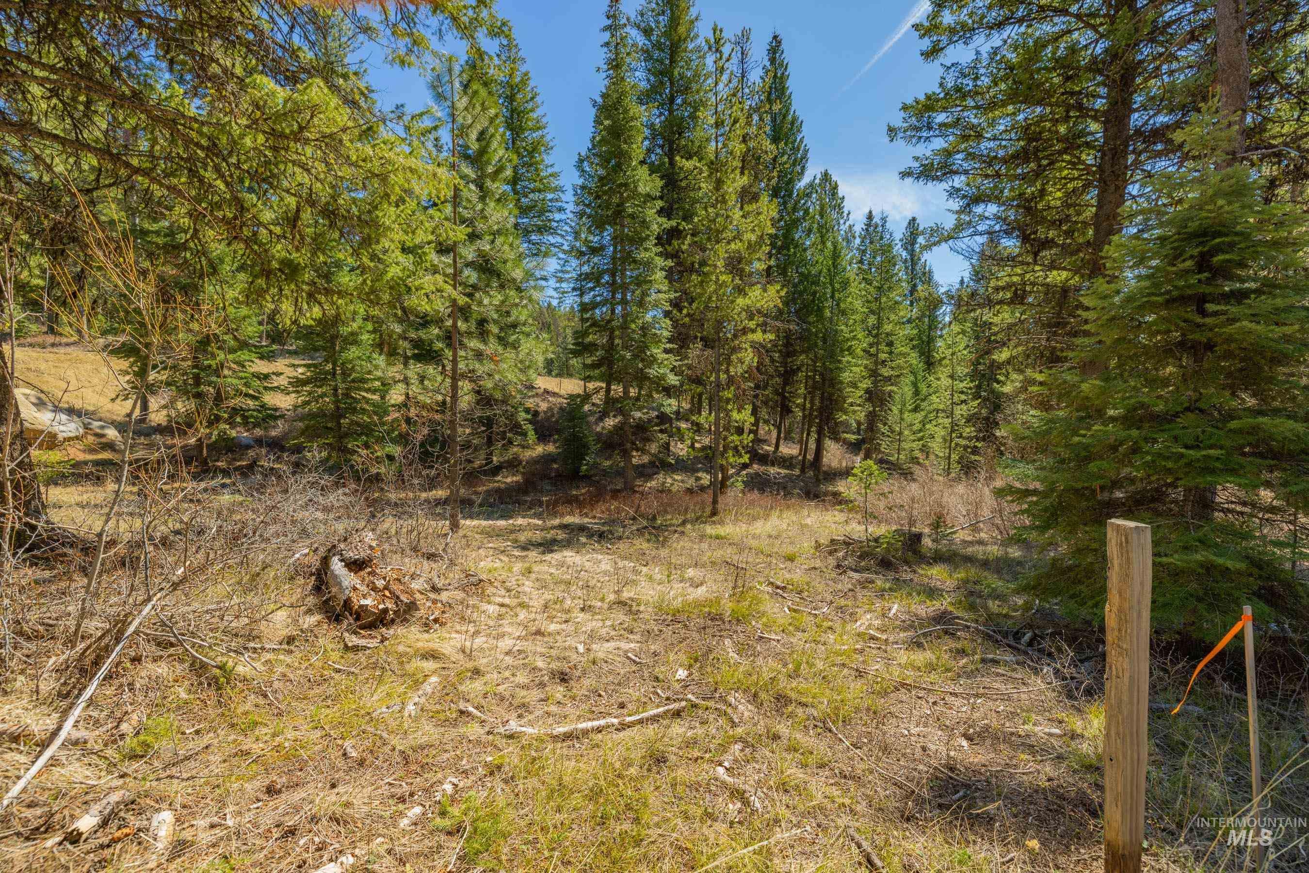 15 York Street, McCall, Idaho 83638, Land For Sale, Price $254,150, 98982028