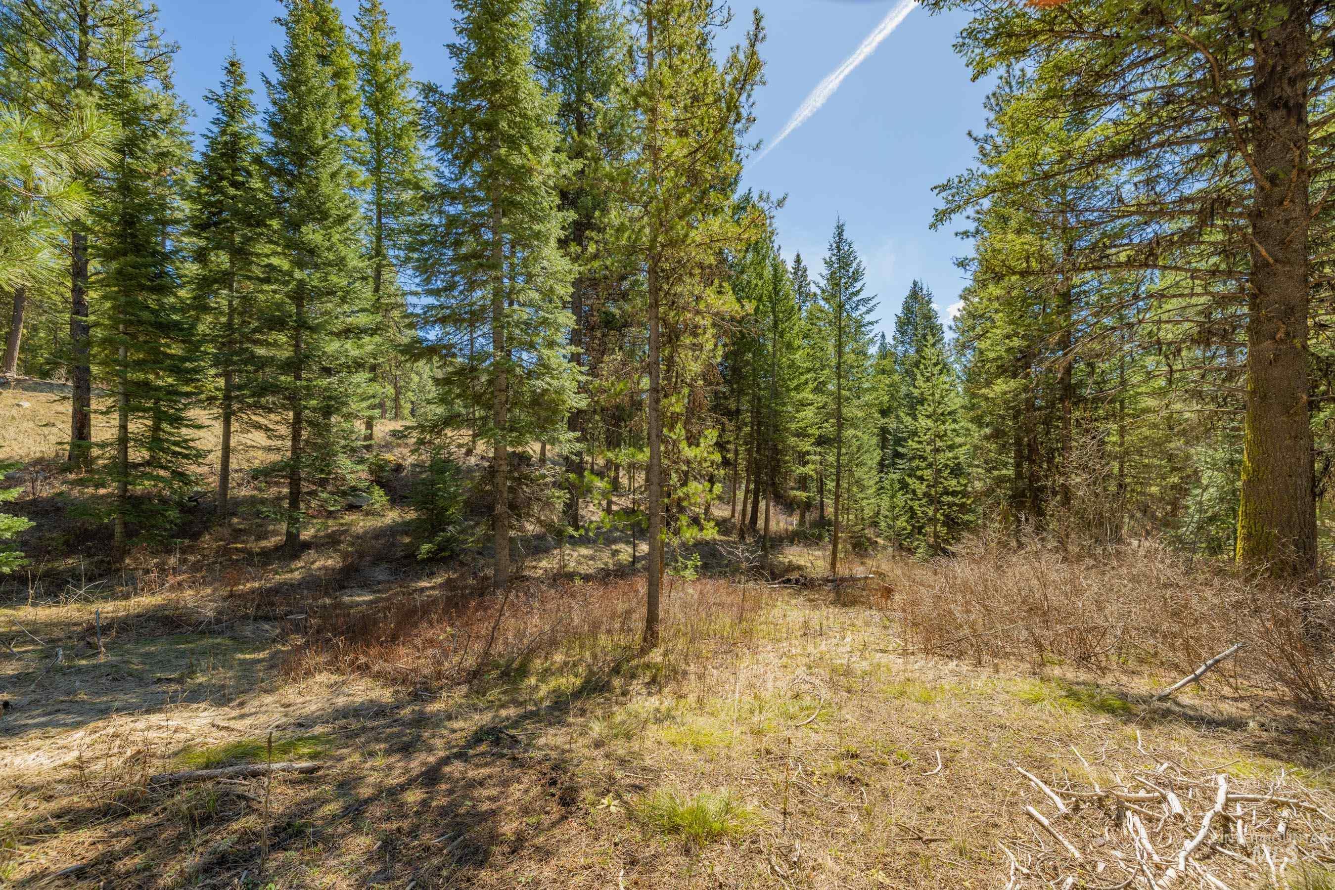 15 York Street, McCall, Idaho 83638, Land For Sale, Price $254,150, 98982028